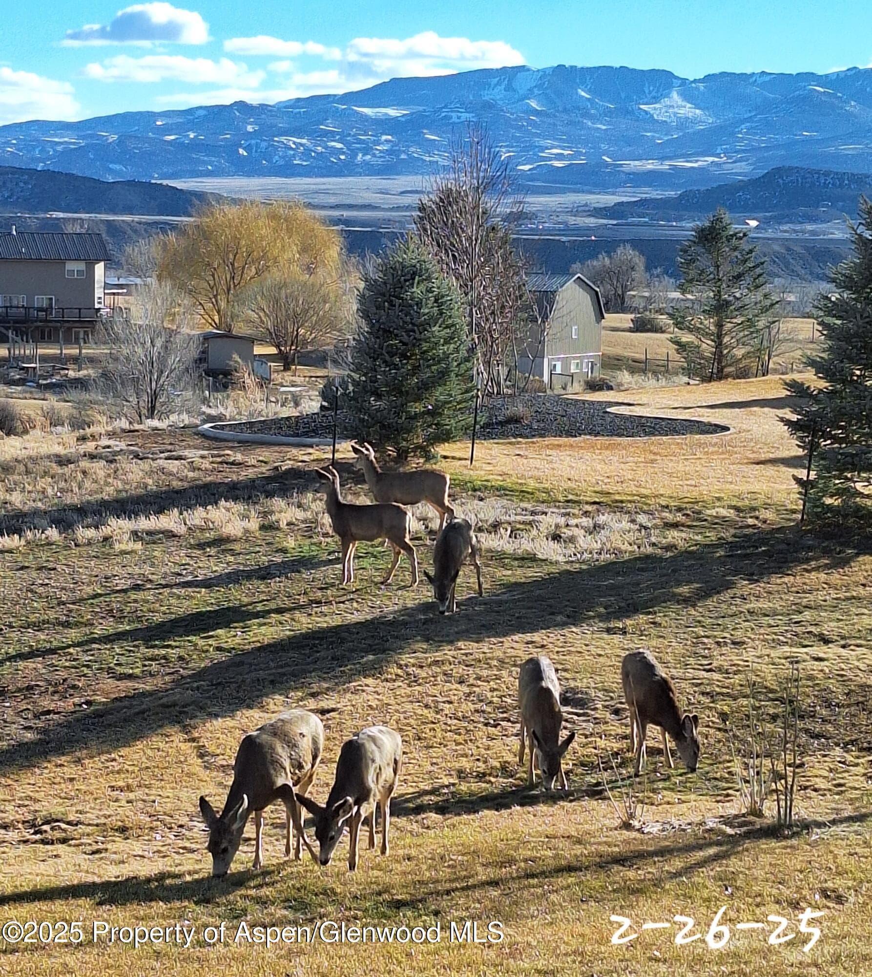 265 S Meadow Drive, Rifle, CO 81650 - Photo 7