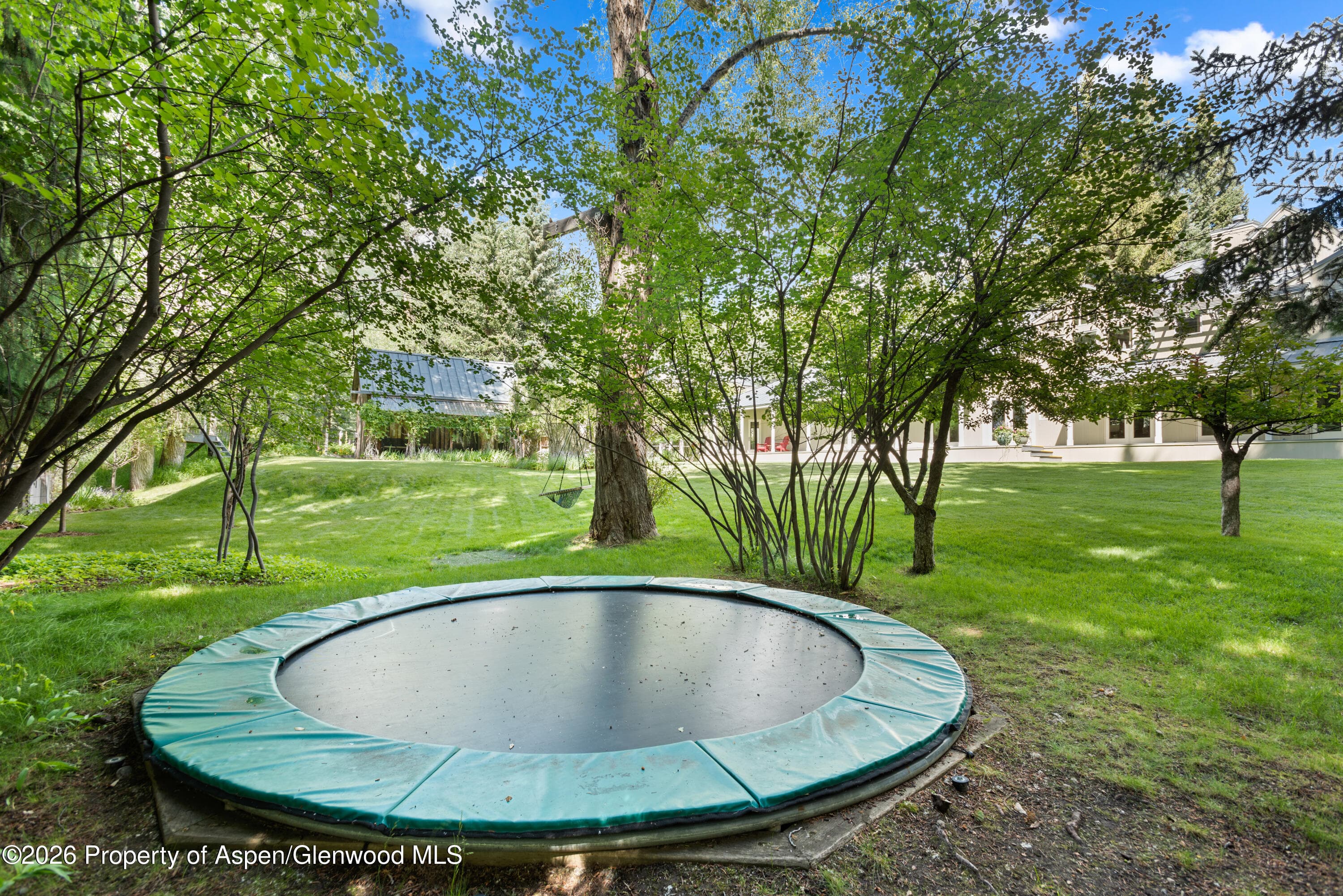 99 Shady Lane, Aspen, CO 81611 - Photo 37