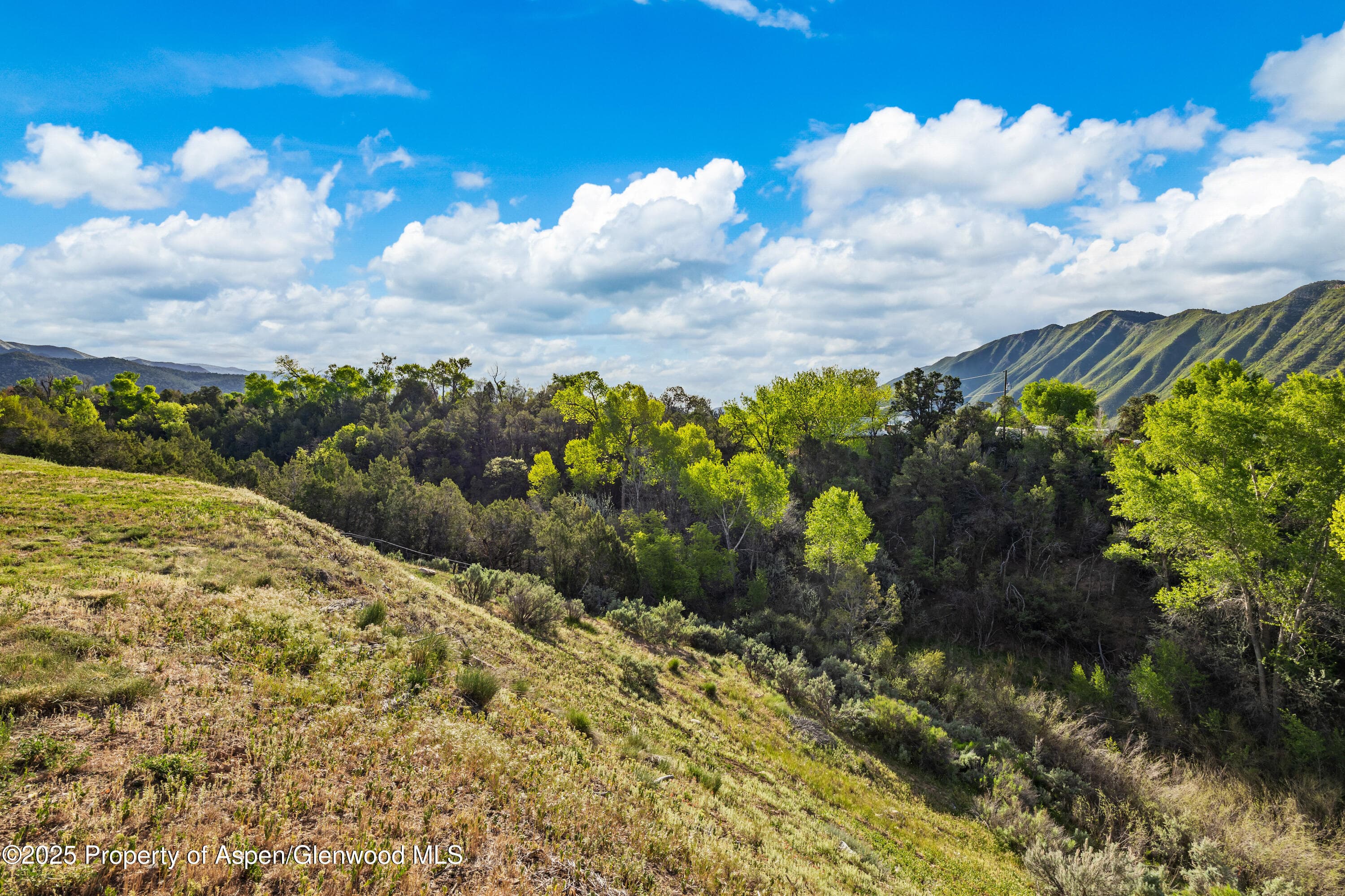 393 Faas Ranch Road, New Castle, CO 81647 - Photo 7