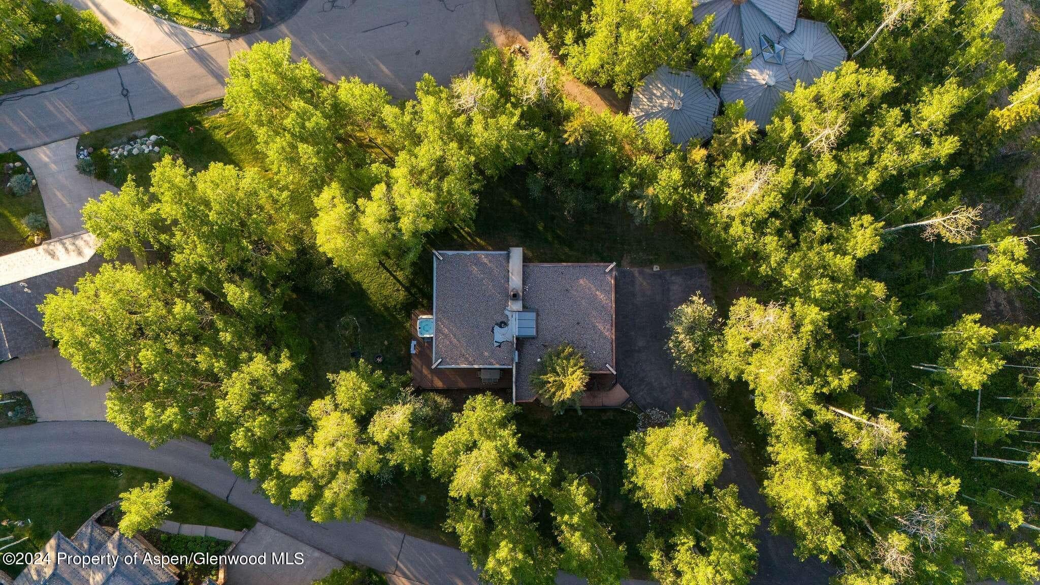 233 Stellar Lane, Snowmass Village, CO 81615 - Photo 38