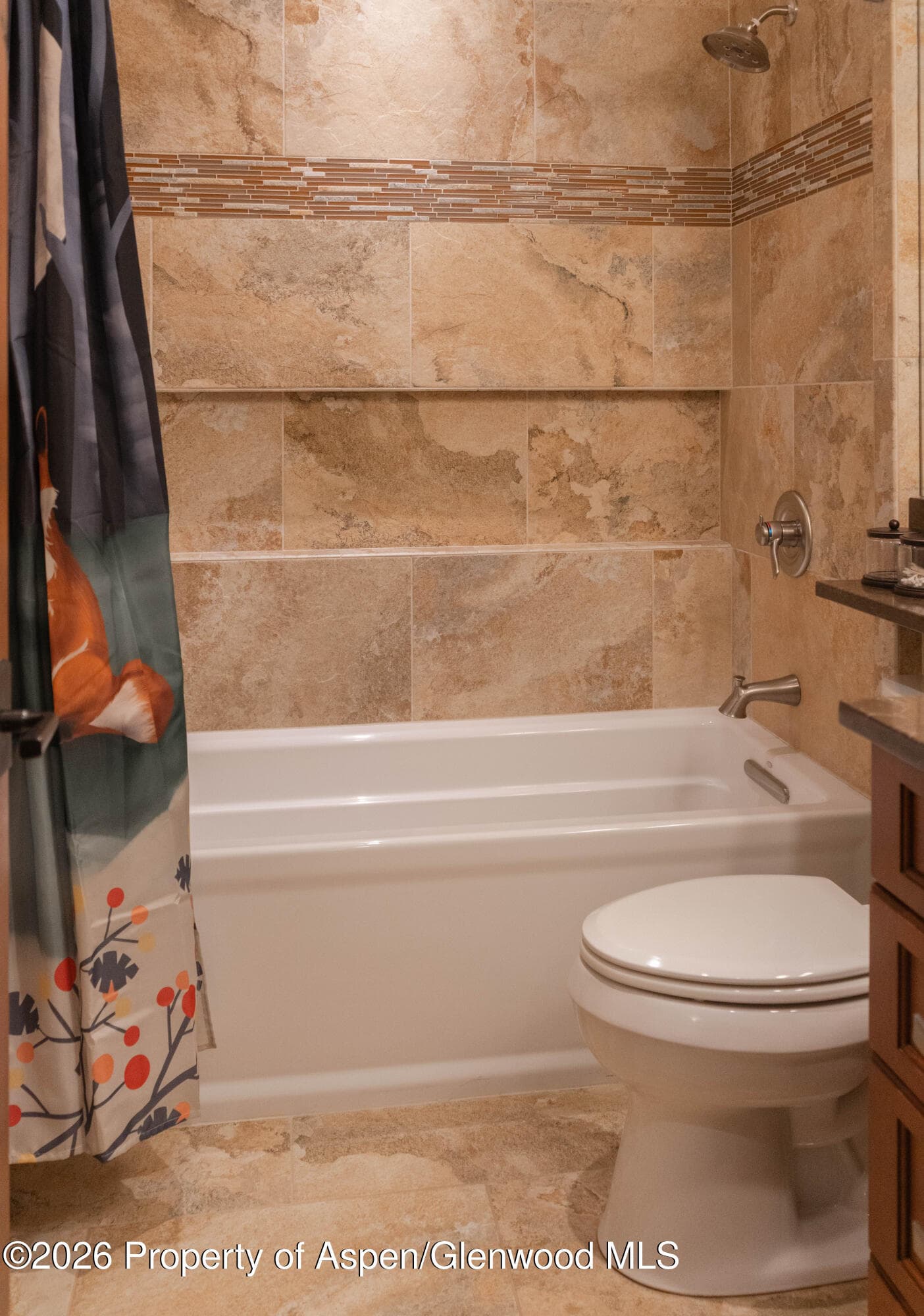 109 Valley Court, Basalt, CO 81621 - Photo 33
