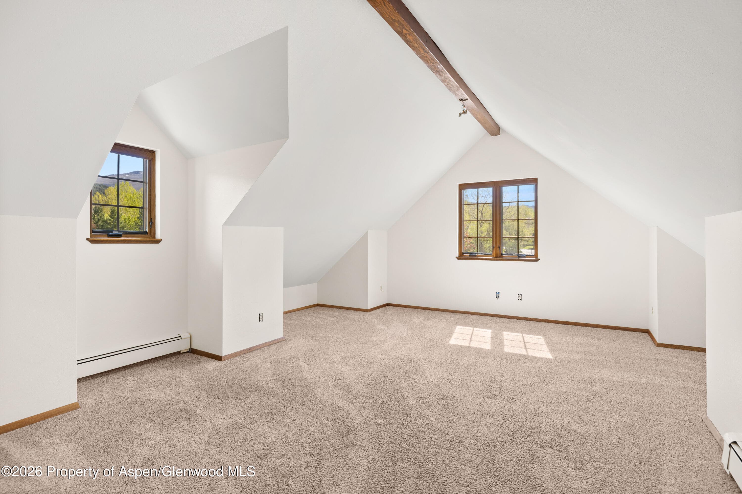 389 Rabbit Road, Carbondale, CO 81623 - Photo 12