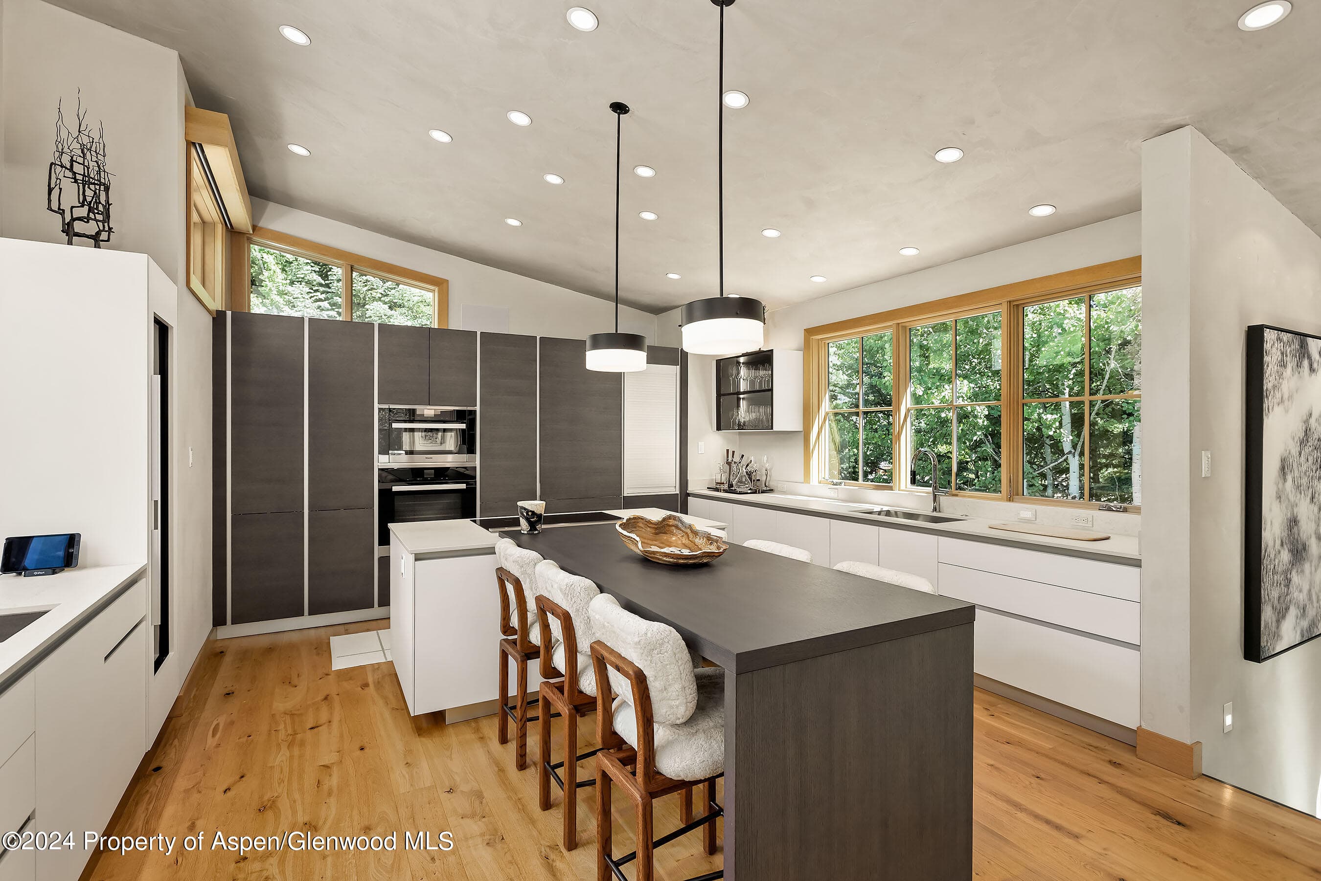 1190 Riverside Drive, Aspen, CO 81611 - Photo 7