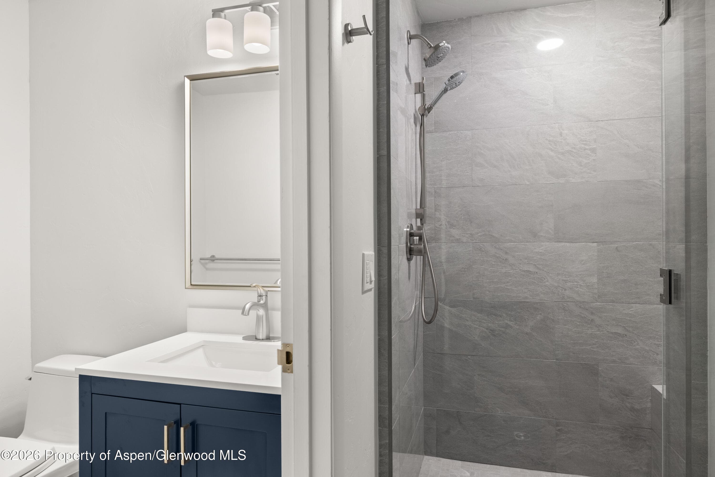 605 E Main Street #9, Aspen, CO 81611 - Photo 14