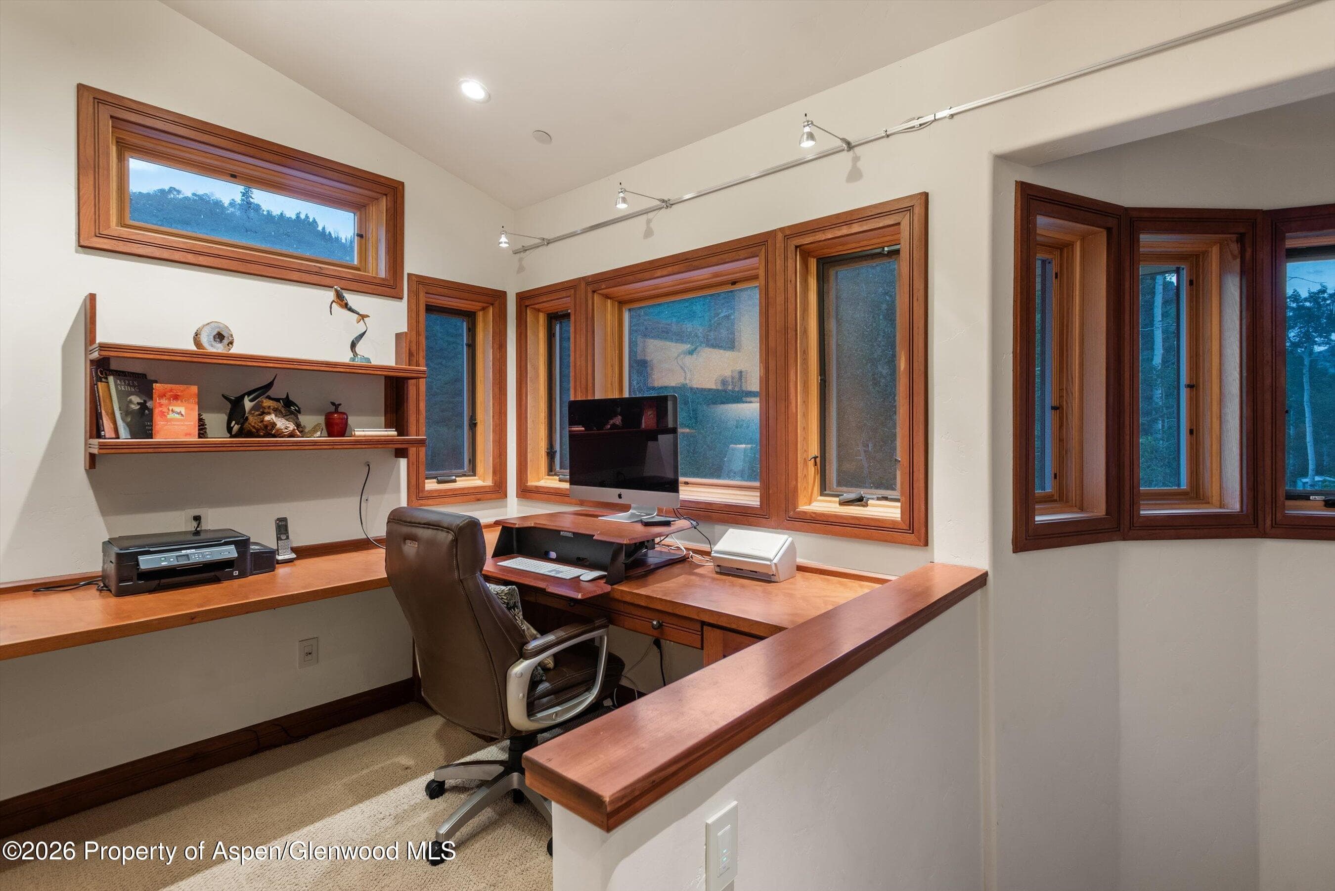 335 Hall Drive, Aspen, CO 81611 - Photo 26