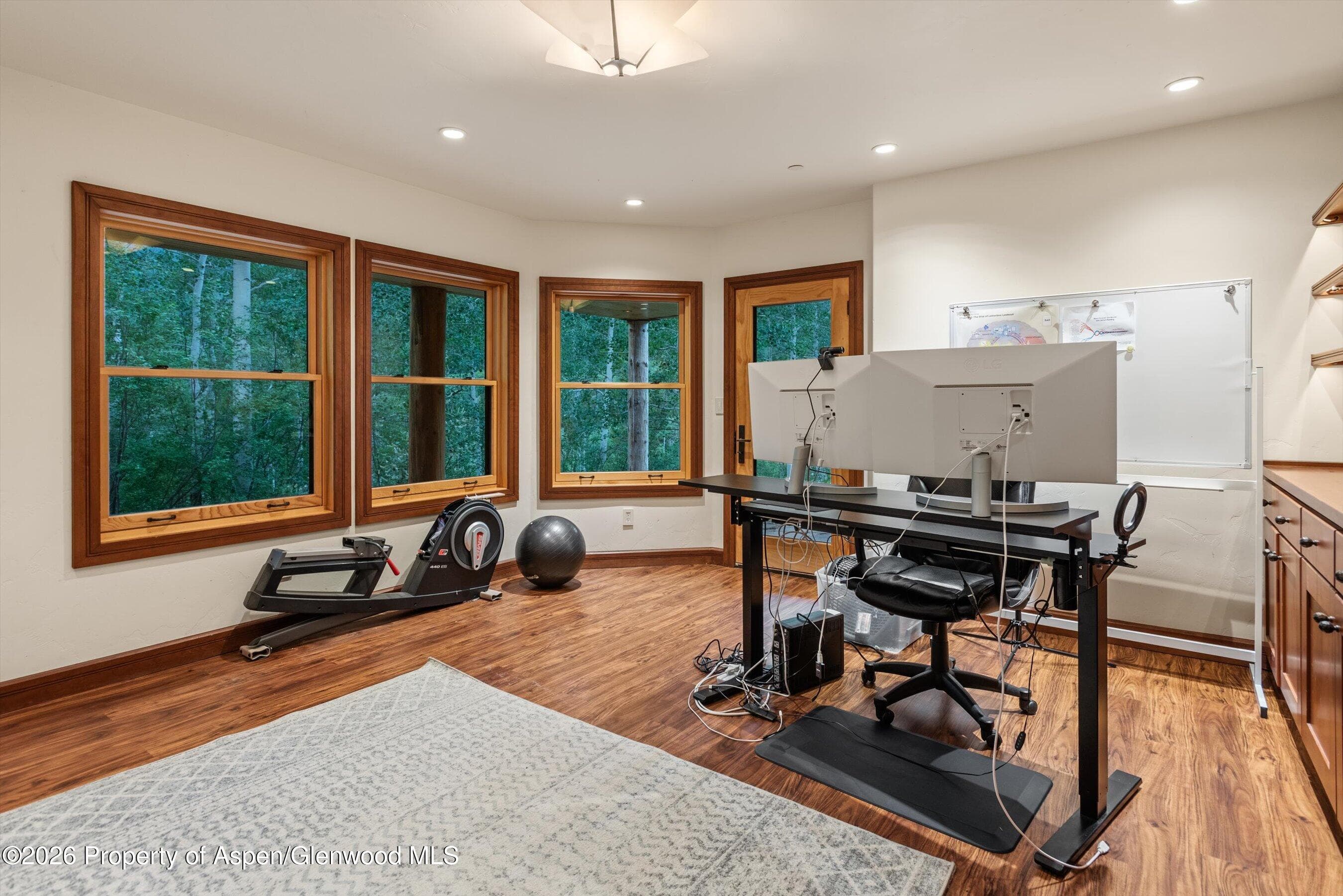 335 Hall Drive, Aspen, CO 81611 - Photo 39