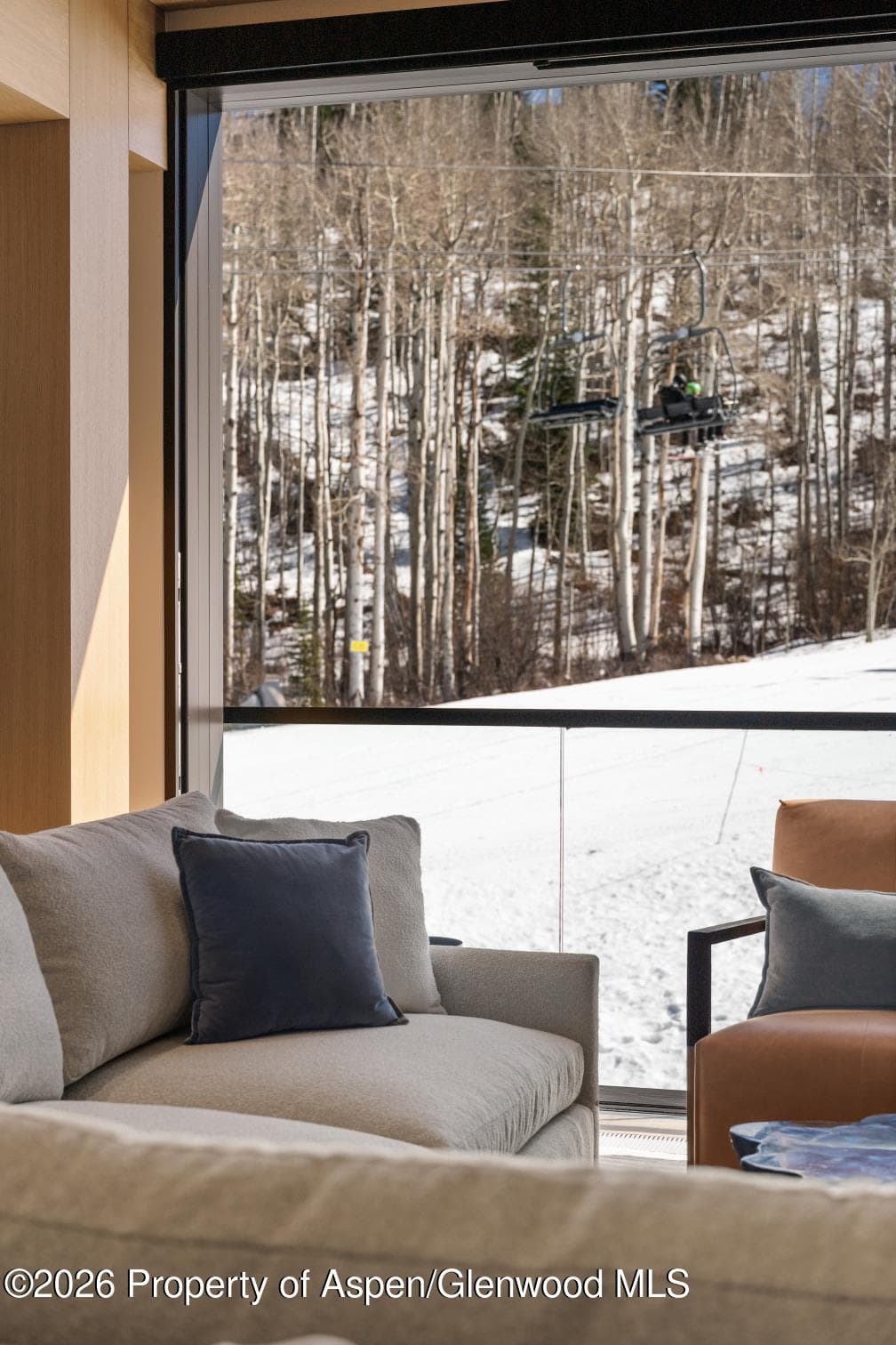 180 Wood Road 402, Snowmass Village, CO 81615 - Photo 8