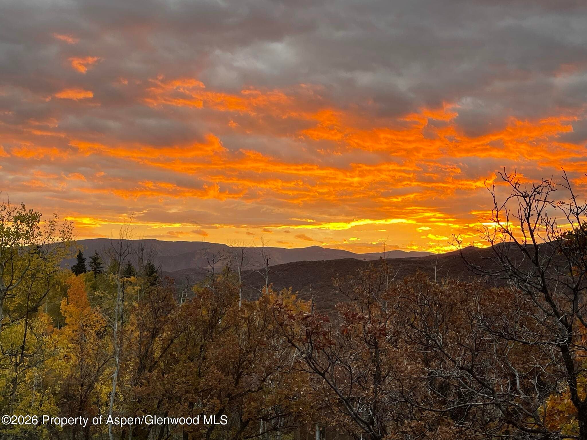 707 Shield O Road, Snowmass, CO 81654 - Photo 54