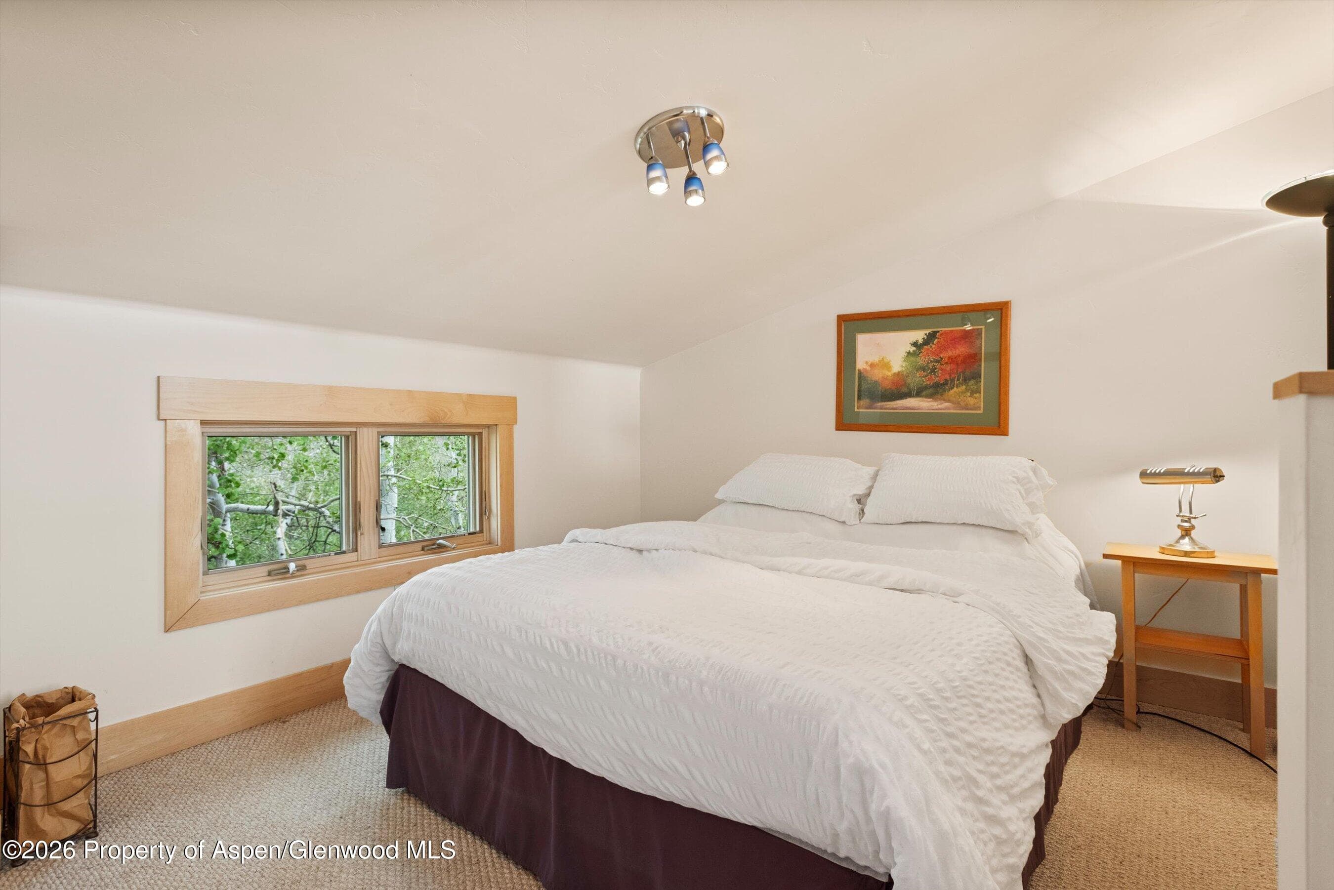 707 Shield O Road, Snowmass, CO 81654 - Photo 38