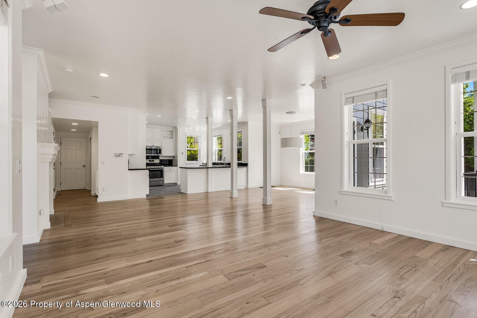 355 Meadow Drive, Basalt, CO 81621 - Photo 4