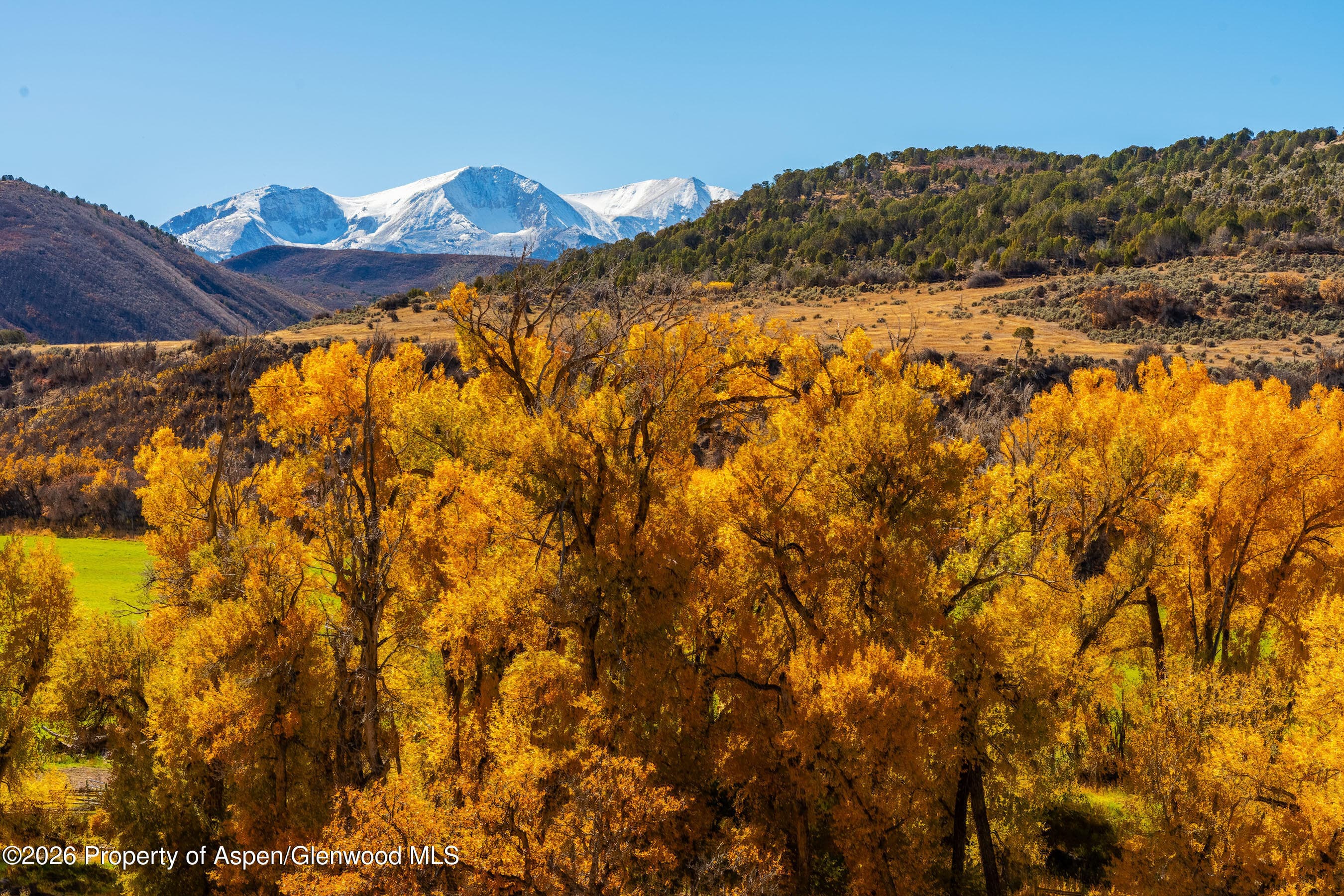 422 Sopris Creek Road, Basalt, CO 81621 - Photo 45
