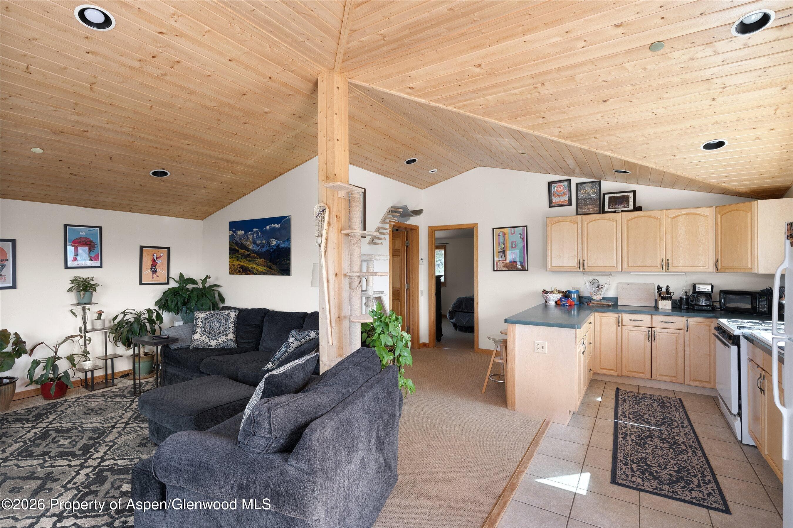115 Rural Mountain Way, Snowmass, CO 81654 - Photo 27