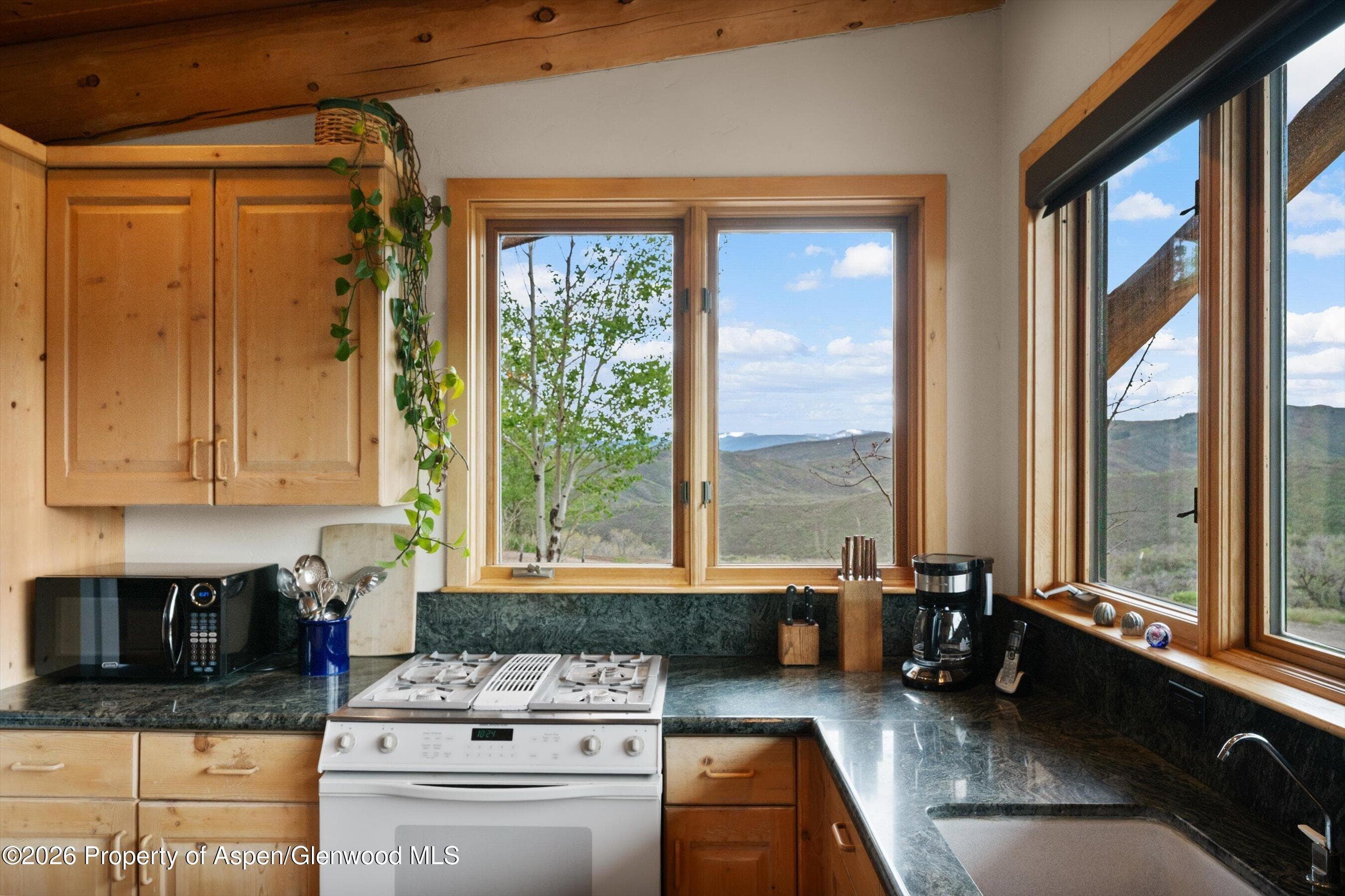 115 Rural Mountain Way, Snowmass, CO 81654 - Photo 12