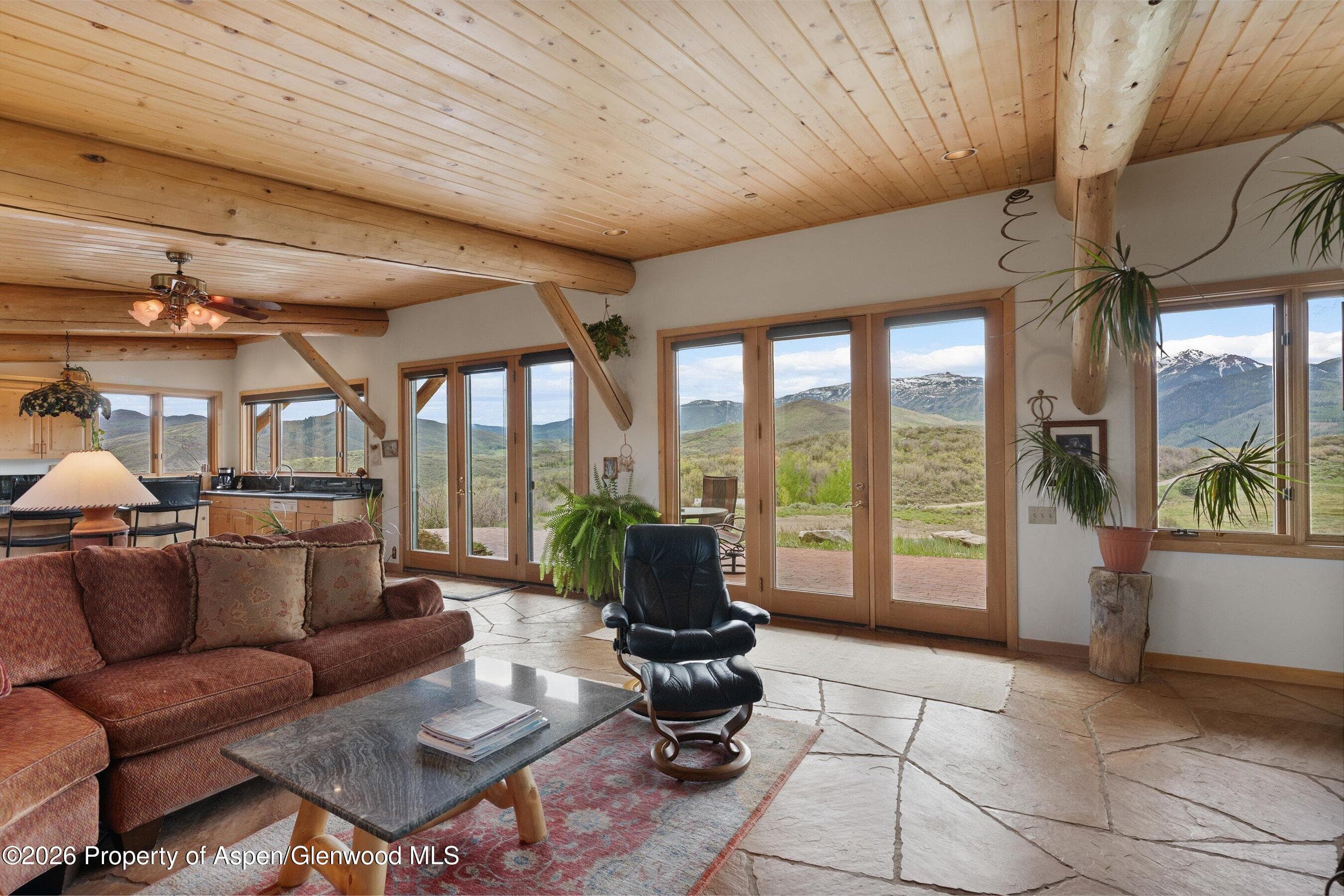 115 Rural Mountain Way, Snowmass, CO 81654 - Photo 5