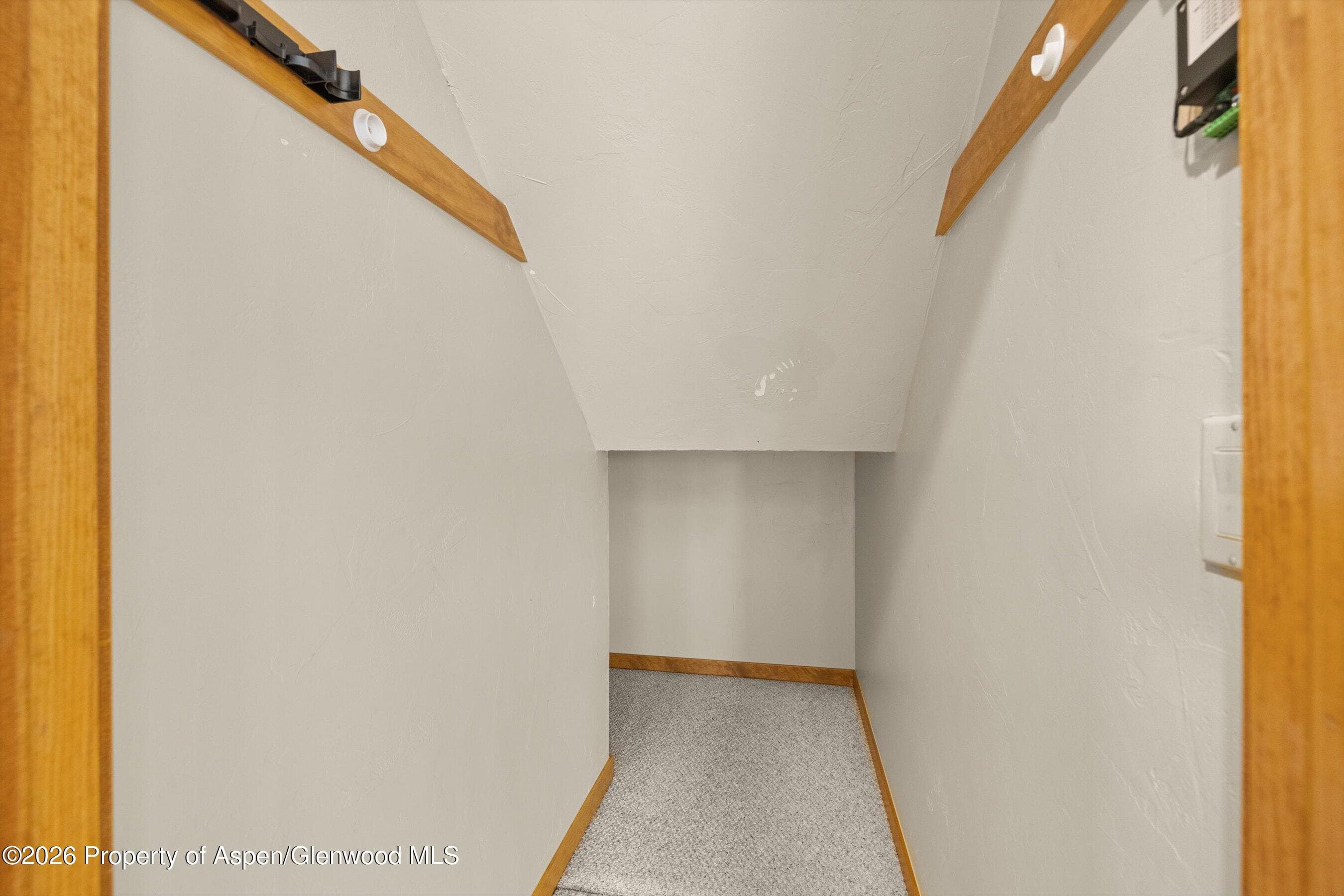 1040 Vito'S Way, Carbondale, CO 81623 - Photo 6