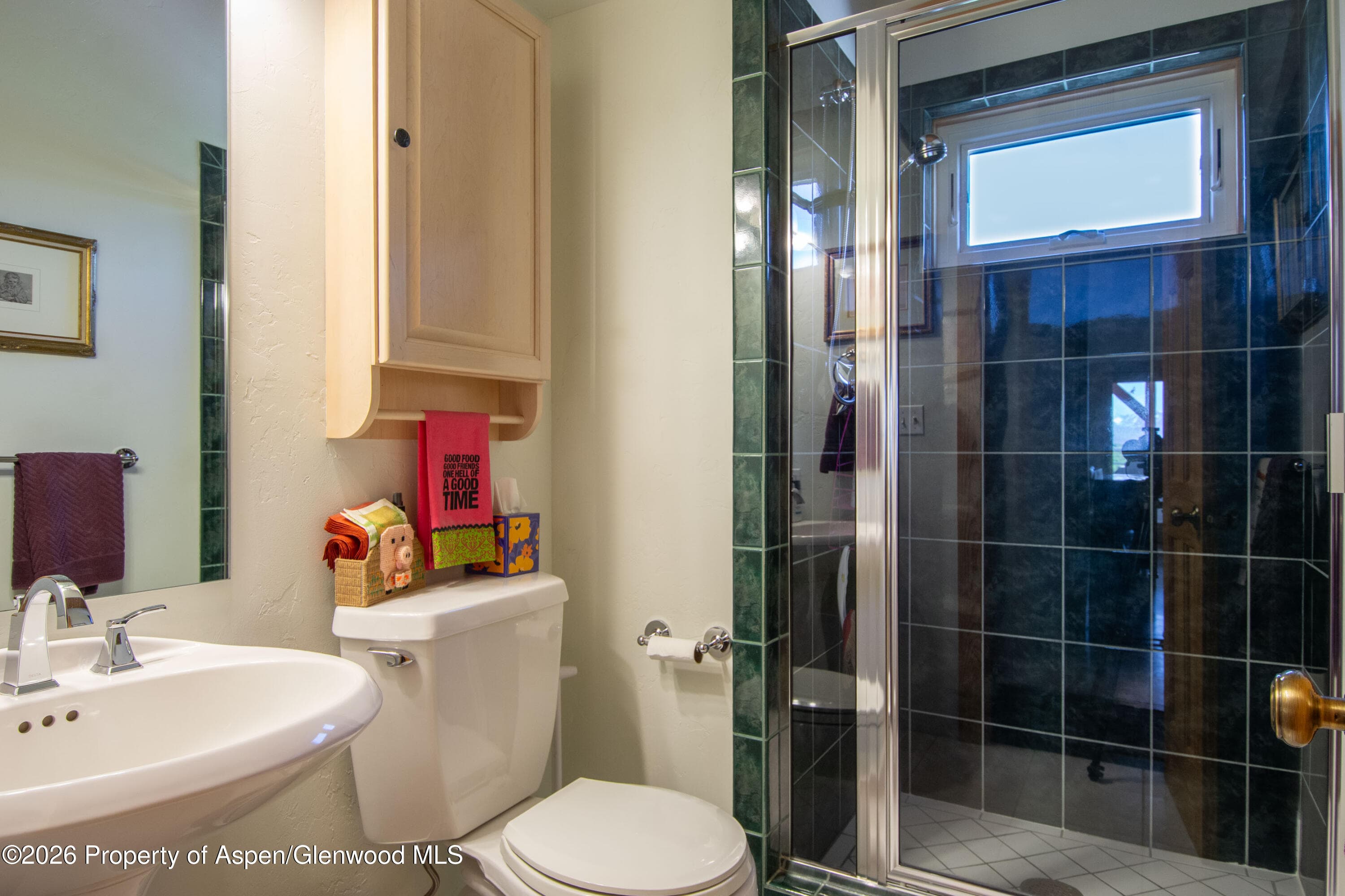 208 Grange Lane, Carbondale, CO 81623 - Photo 18