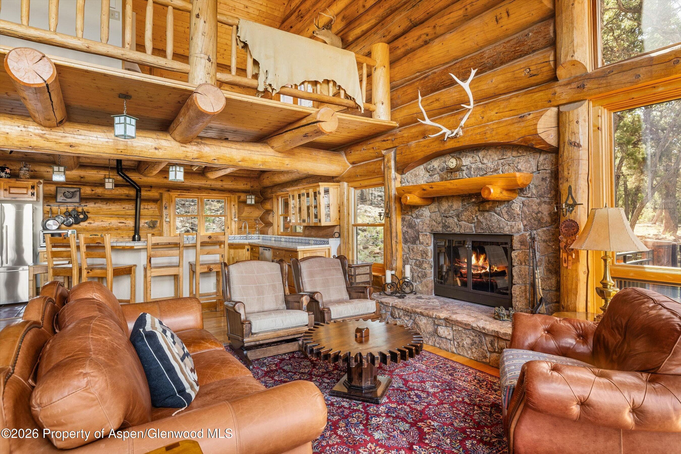 95 Sage Swale Road, Carbondale, CO 81623 - Photo 7