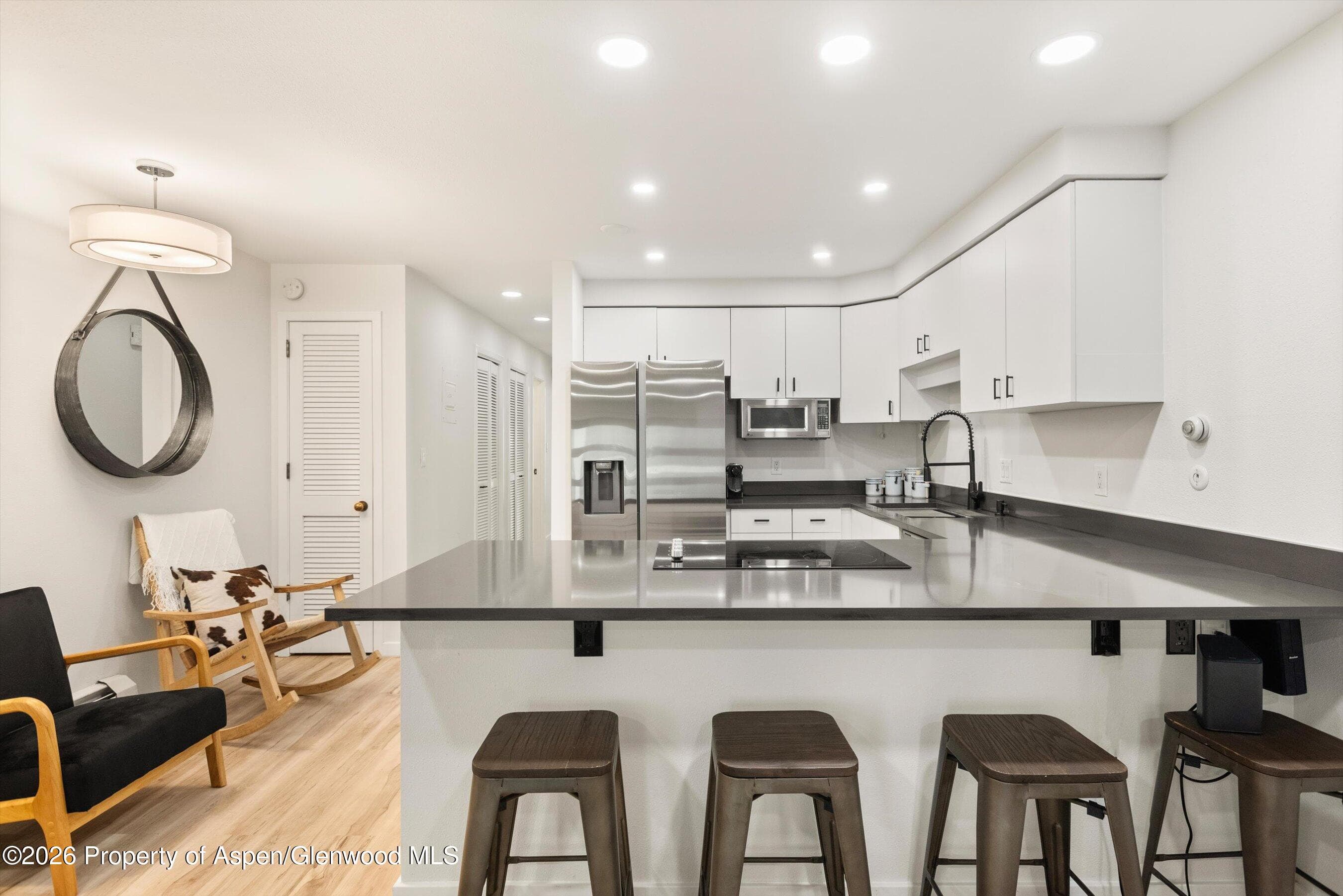 100 E Dean Street 1d, Aspen, CO 81611 - Photo 8