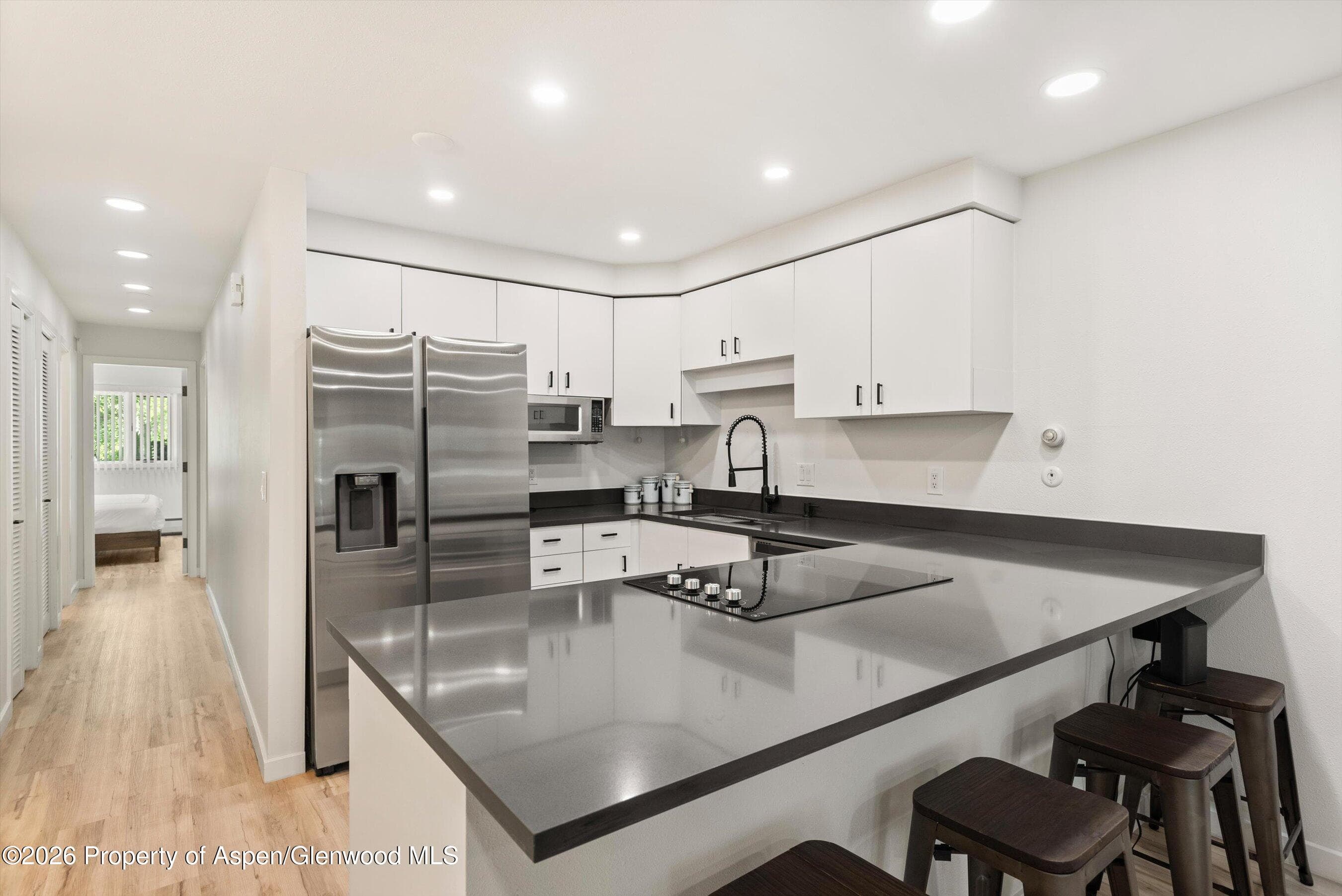 100 E Dean Street 1d, Aspen, CO 81611 - Photo 9