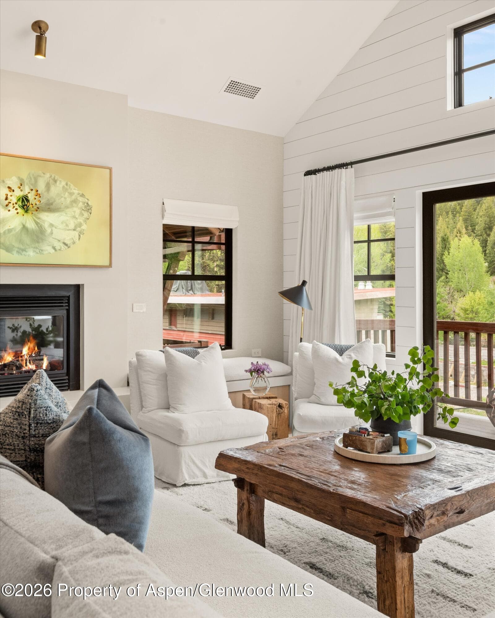 507 W Main Street C-201, Aspen, CO 81611 - Photo 8