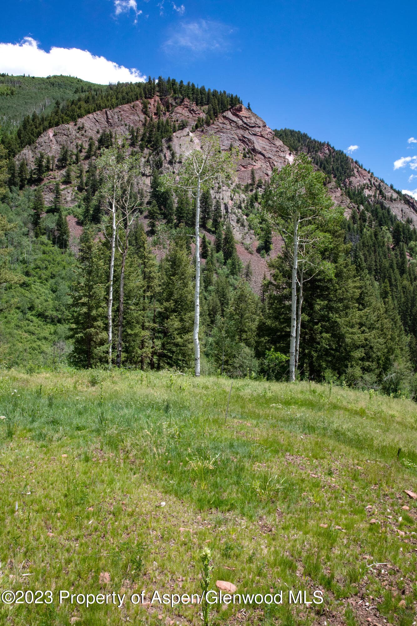 640 S Hayden Road, Aspen, CO 81611 - Photo 24