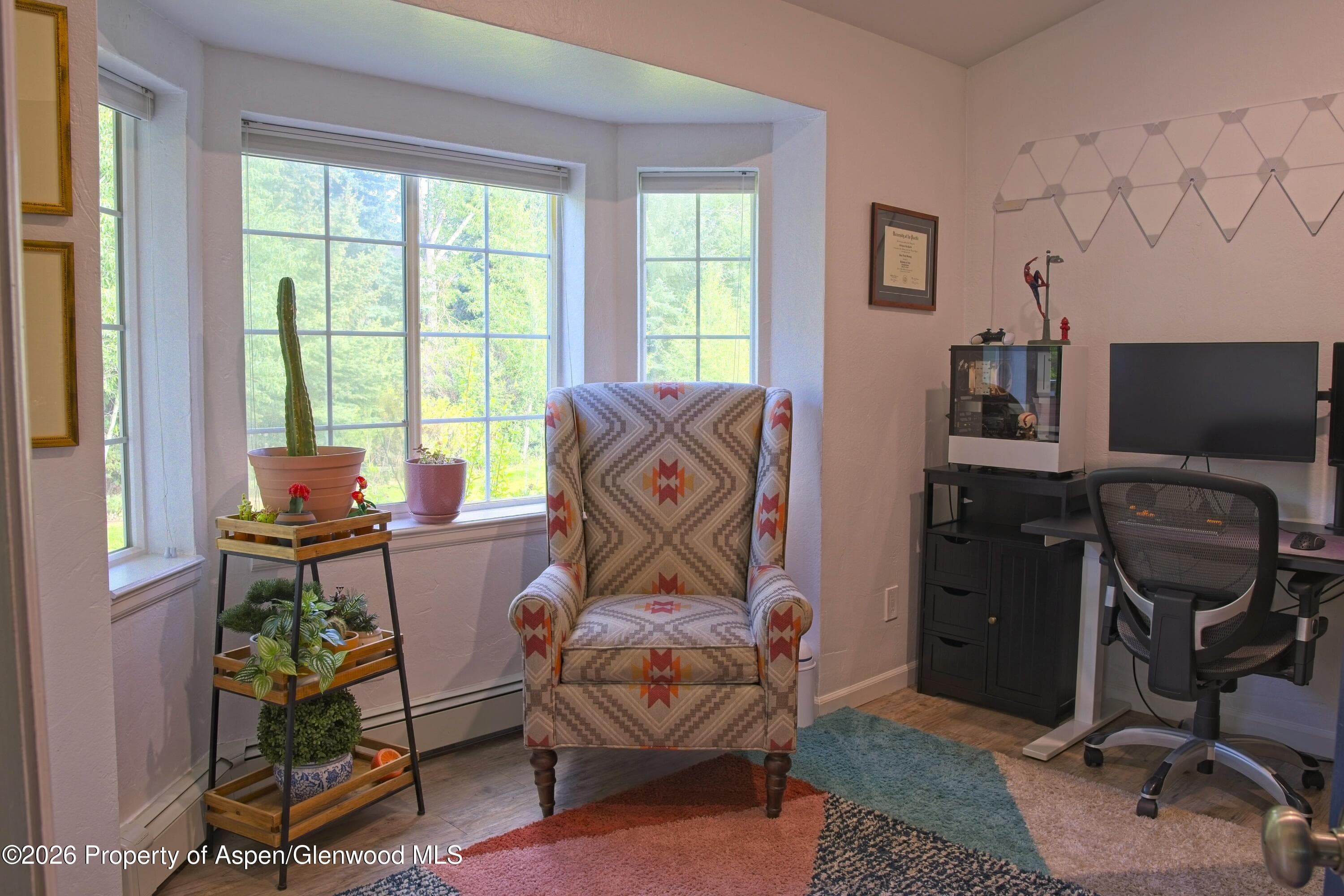 7204 Elk Lane, Basalt, CO 81621 - Photo 10