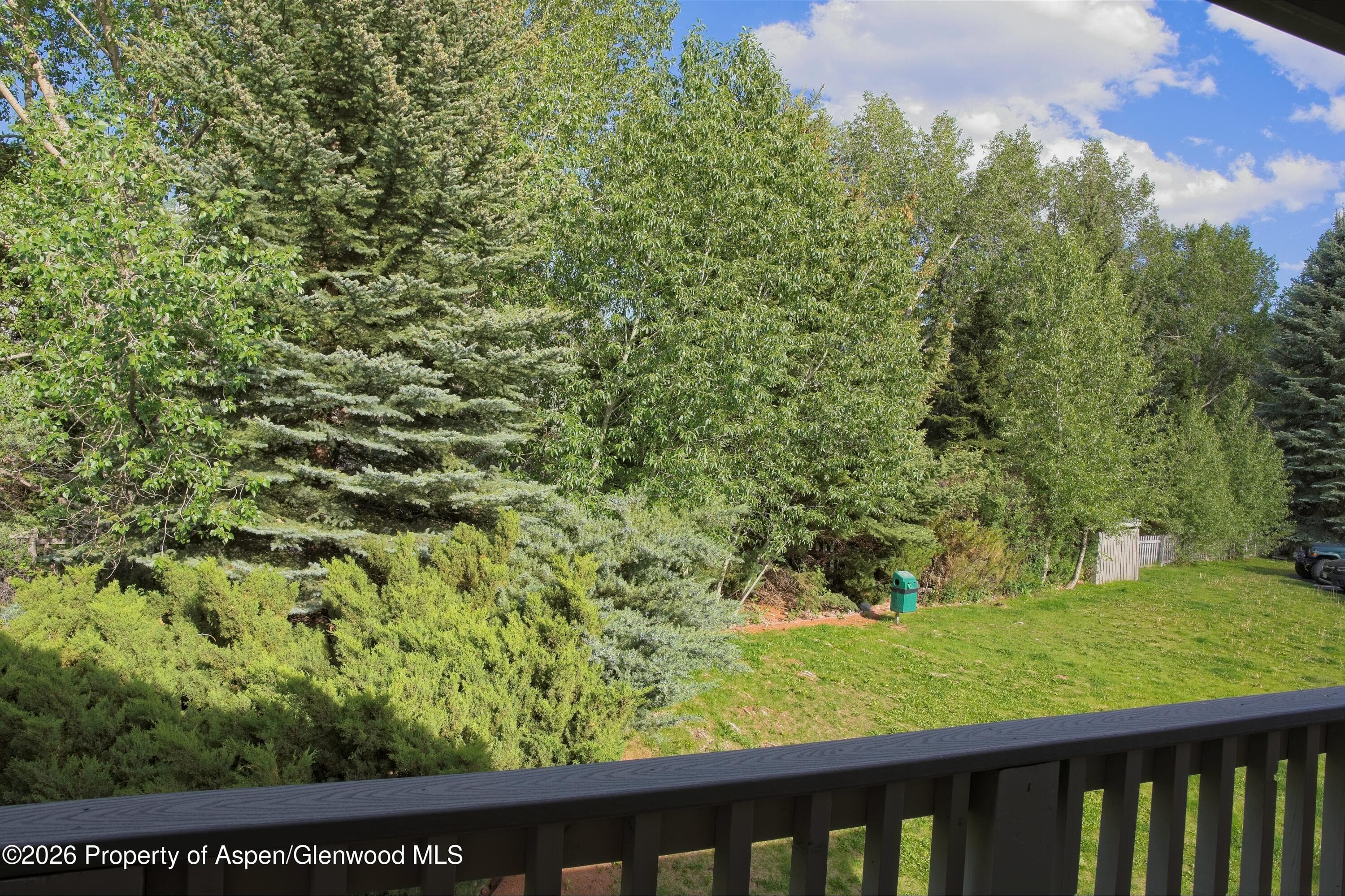 7204 Elk Lane, Basalt, CO 81621 - Photo 12