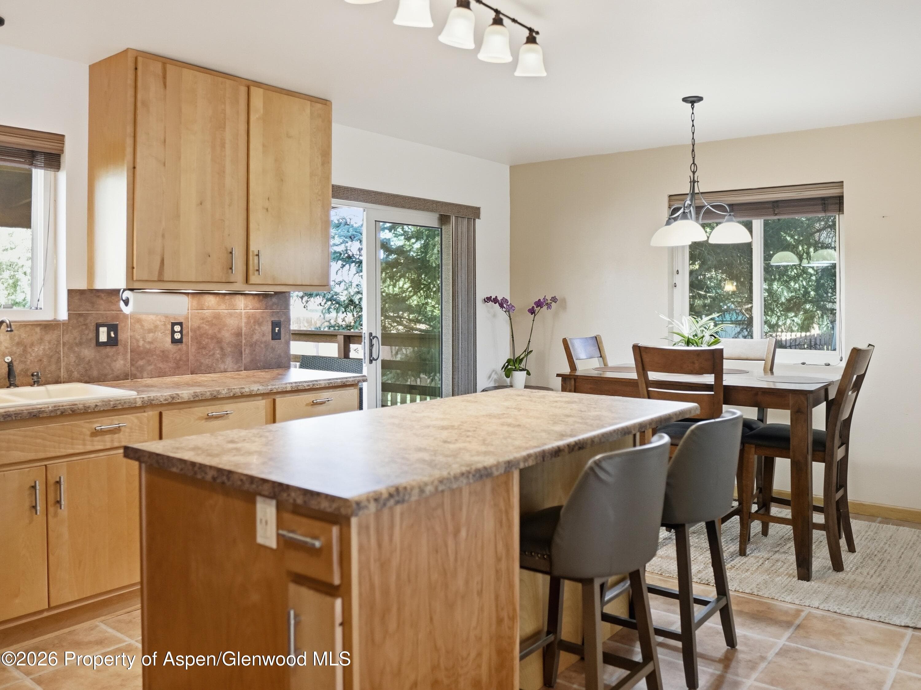 39 Coyote Circle, Carbondale, CO 81623 - Photo 6