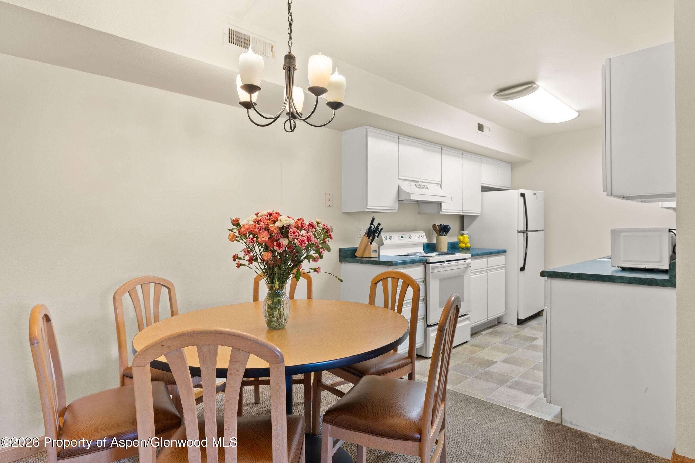 85 Meadow Wood Drive B4, Carbondale, CO 81623 - Photo 2