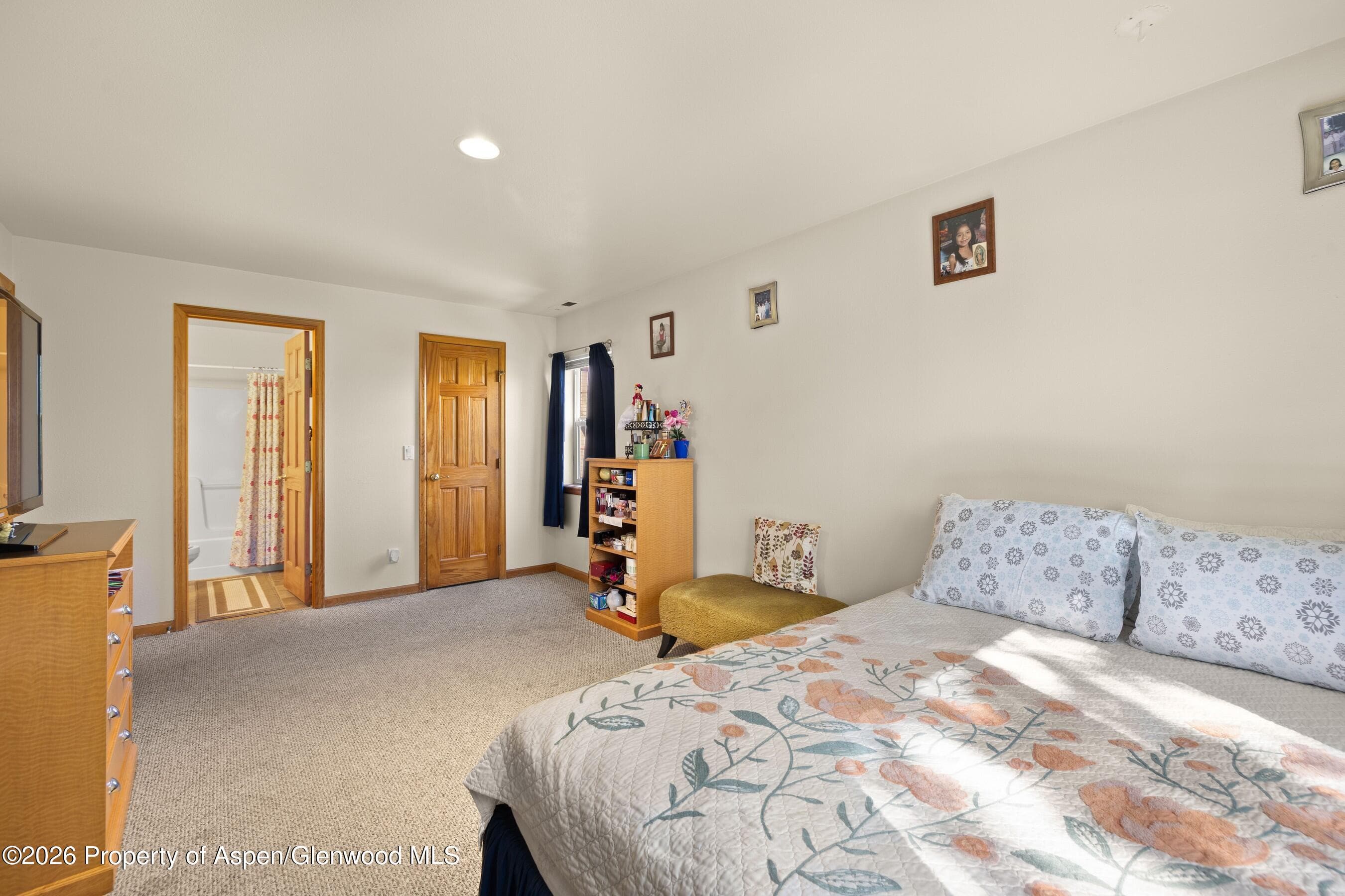 85 Meadow Wood Drive B4, Carbondale, CO 81623 - Photo 9