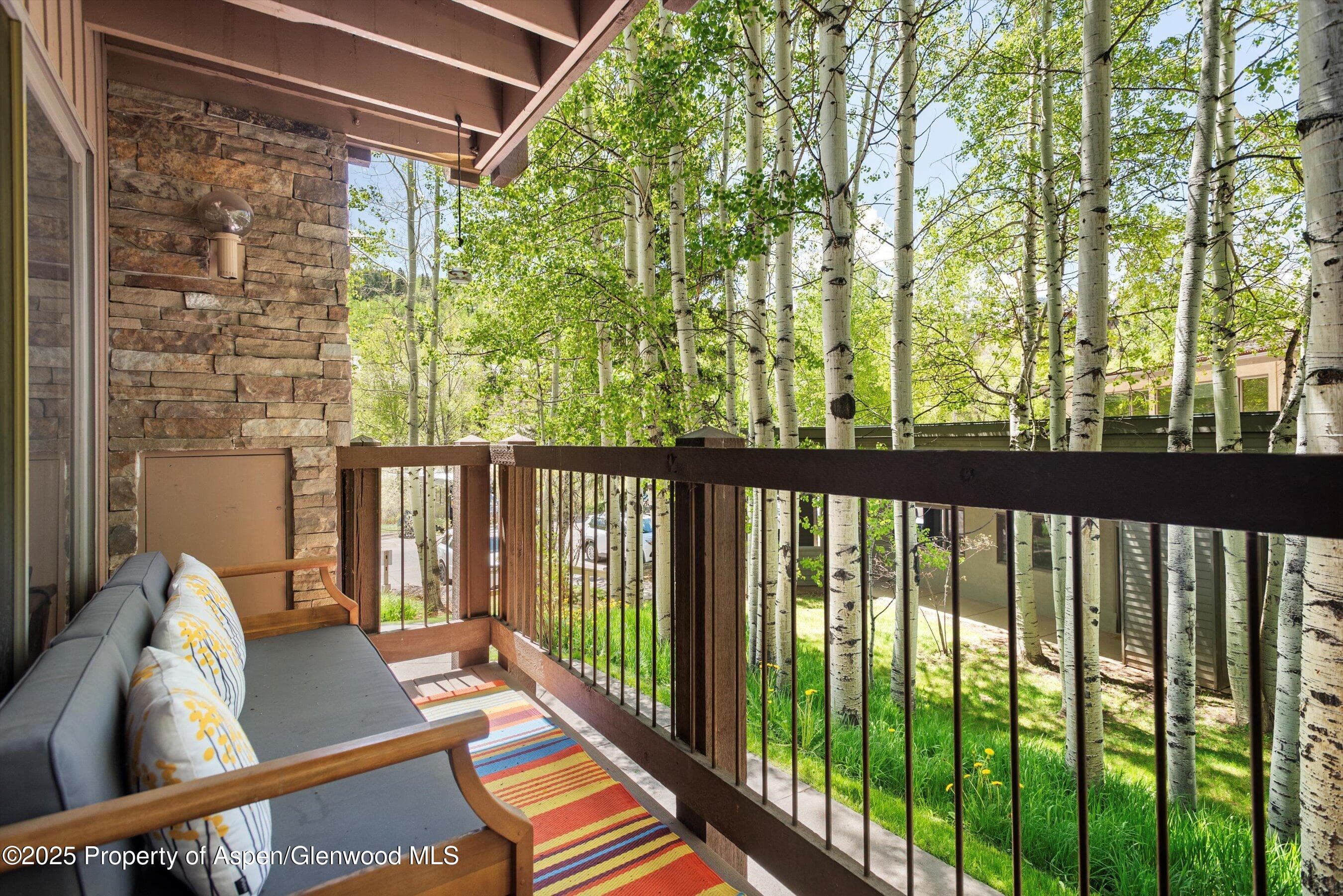35 Upper Woodbridge Road 2a, Snowmass Village, CO 81615 - Photo 20