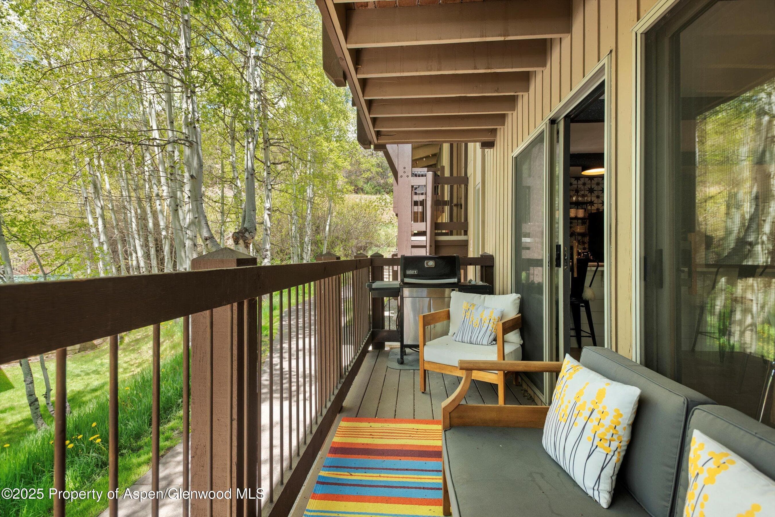 35 Upper Woodbridge Road 2a, Snowmass Village, CO 81615 - Photo 21