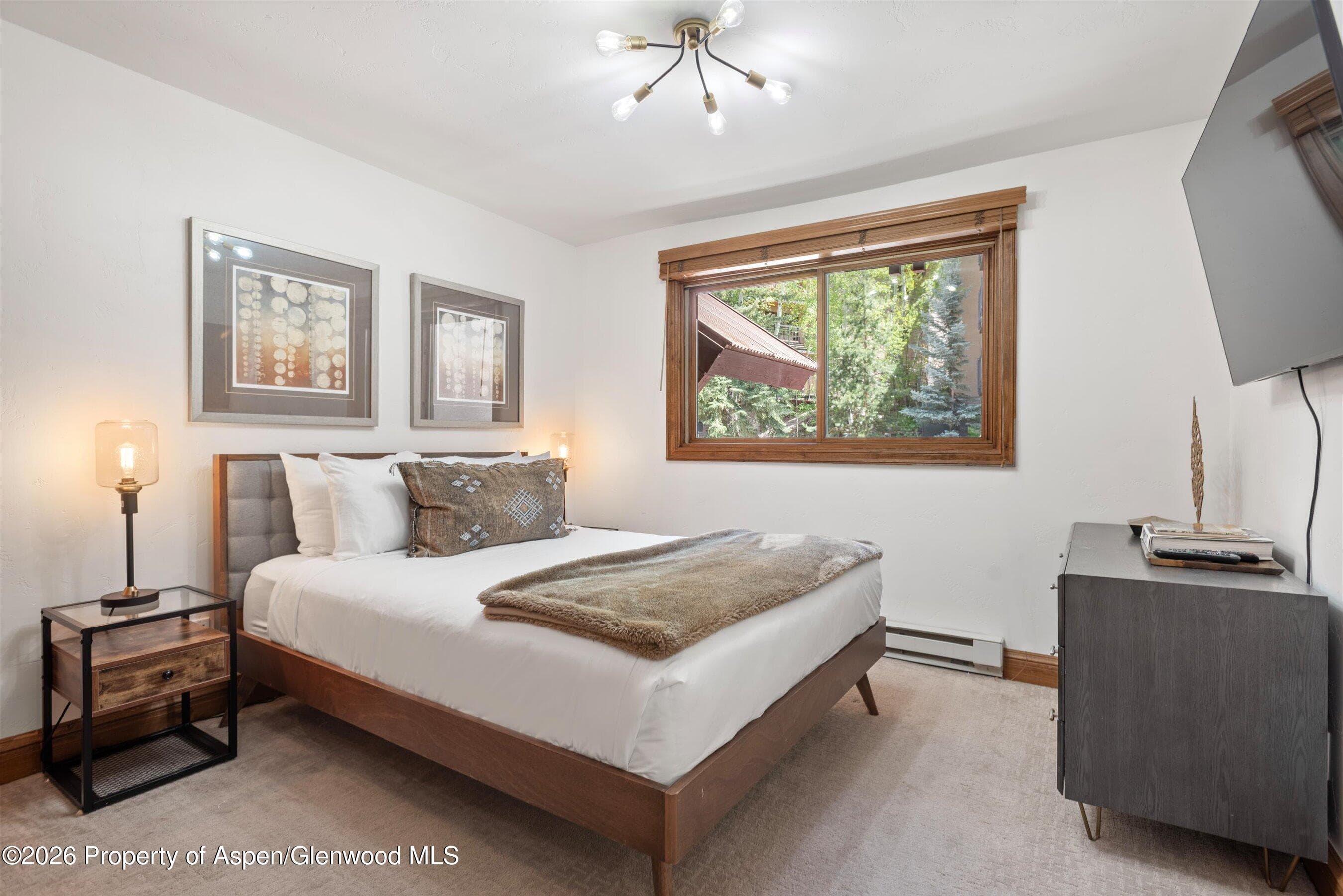 400 Wood Road E-2209, Snowmass Village, CO 81615 - Photo 24
