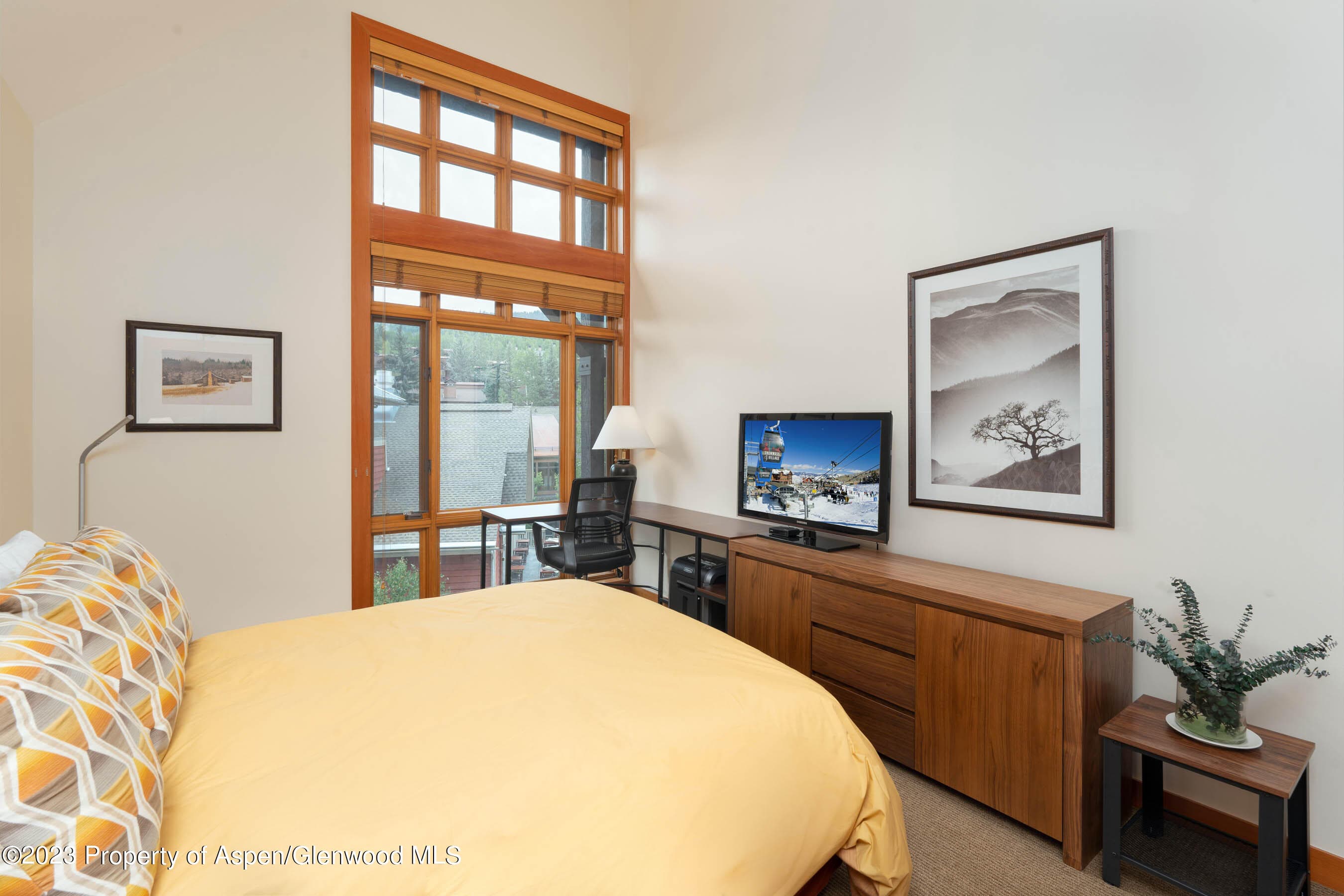110 Carriage Way 3406, Snowmass Village, CO 81615 - Photo 9