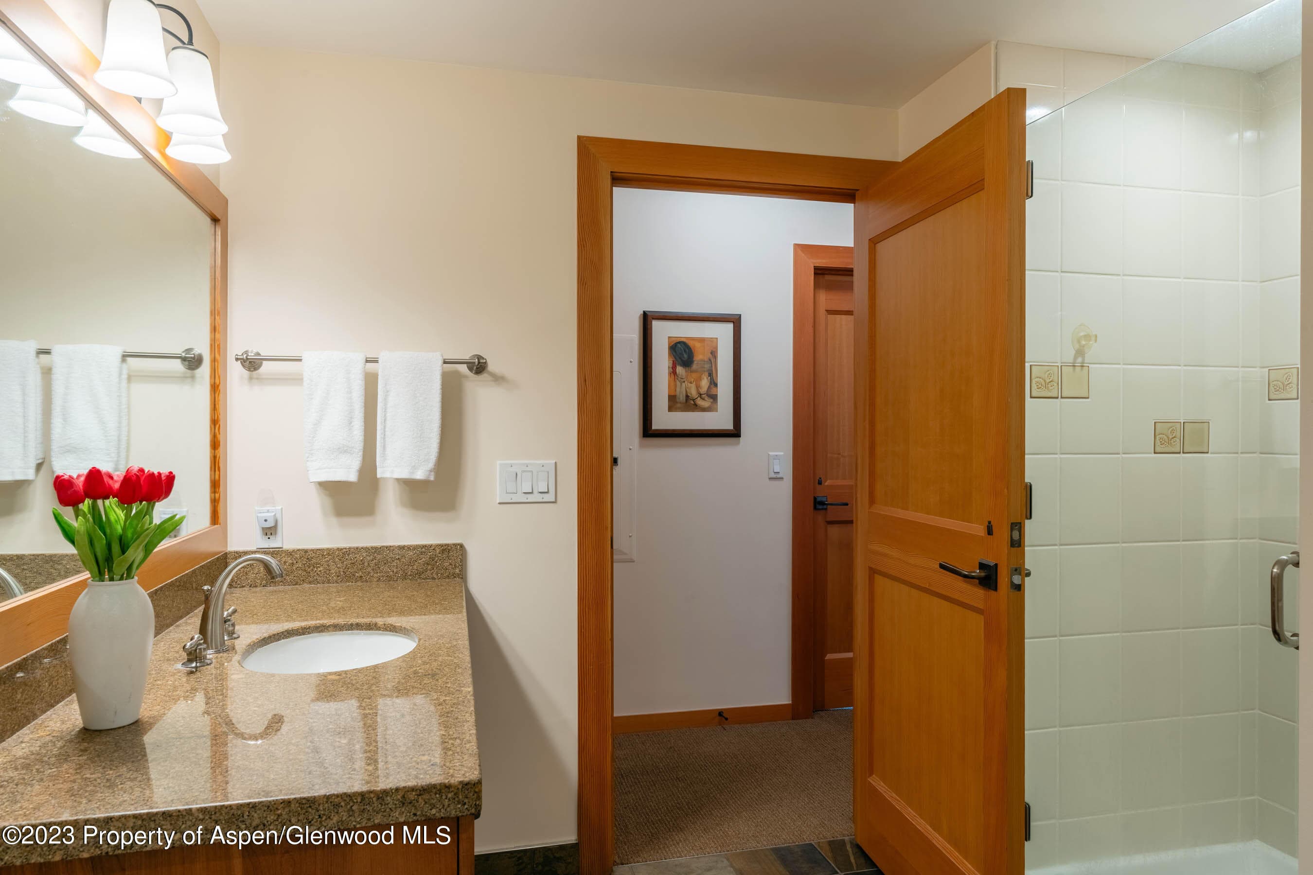 110 Carriage Way 3406, Snowmass Village, CO 81615 - Photo 11