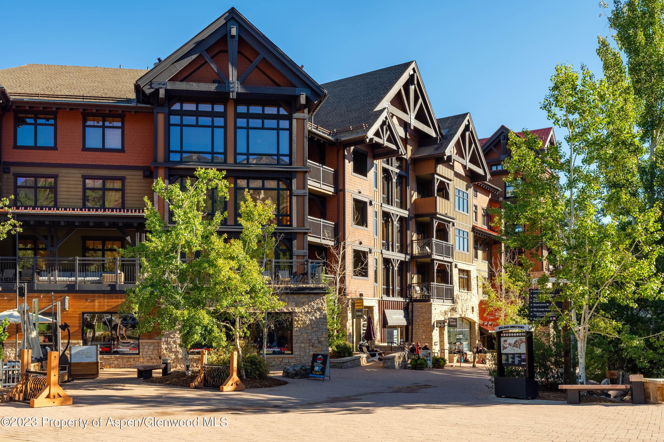 110 Carriage Way 3406, Snowmass Village, CO 81615 - Photo 20