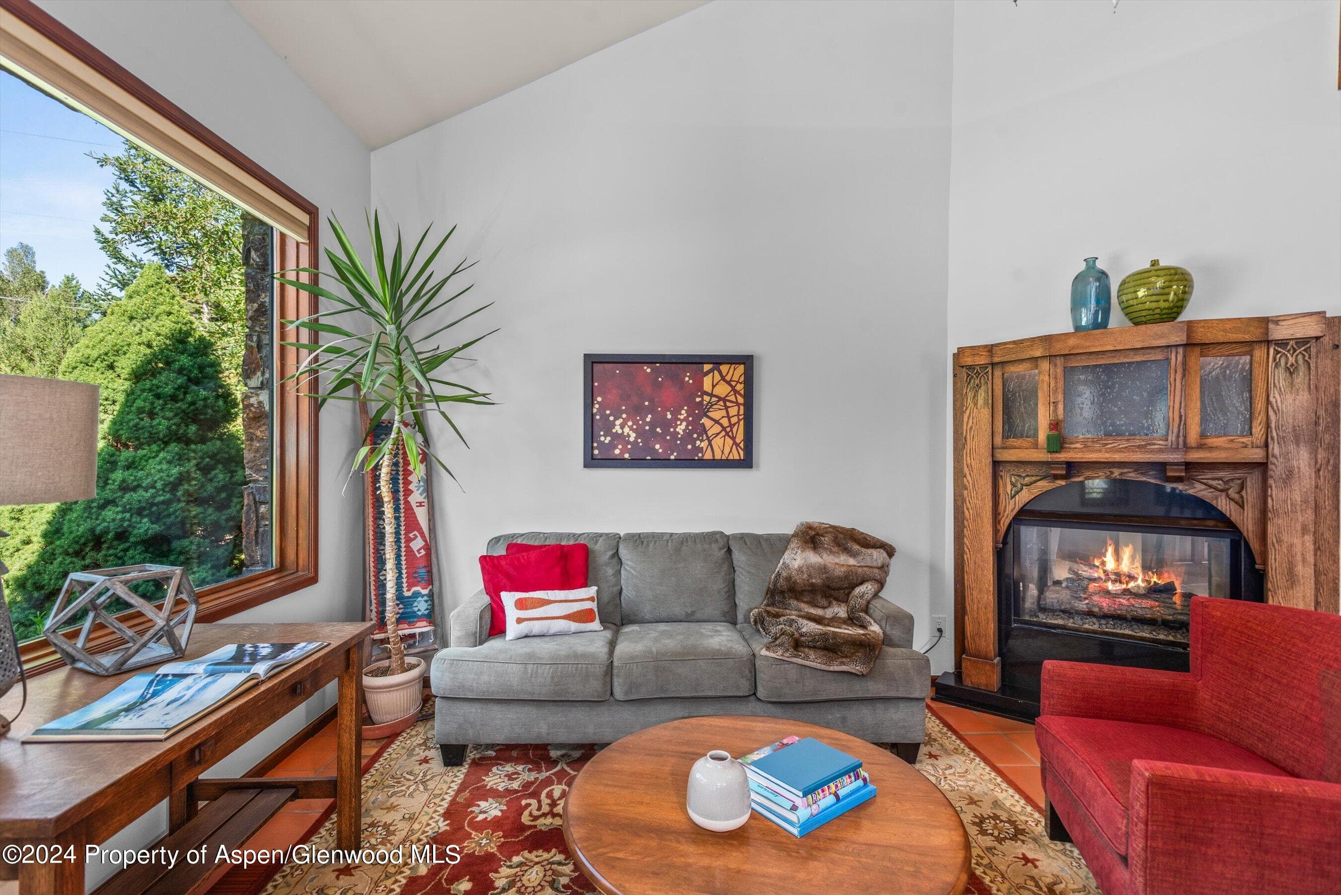 160 Pine Street, Carbondale, CO 81623 - Photo 21