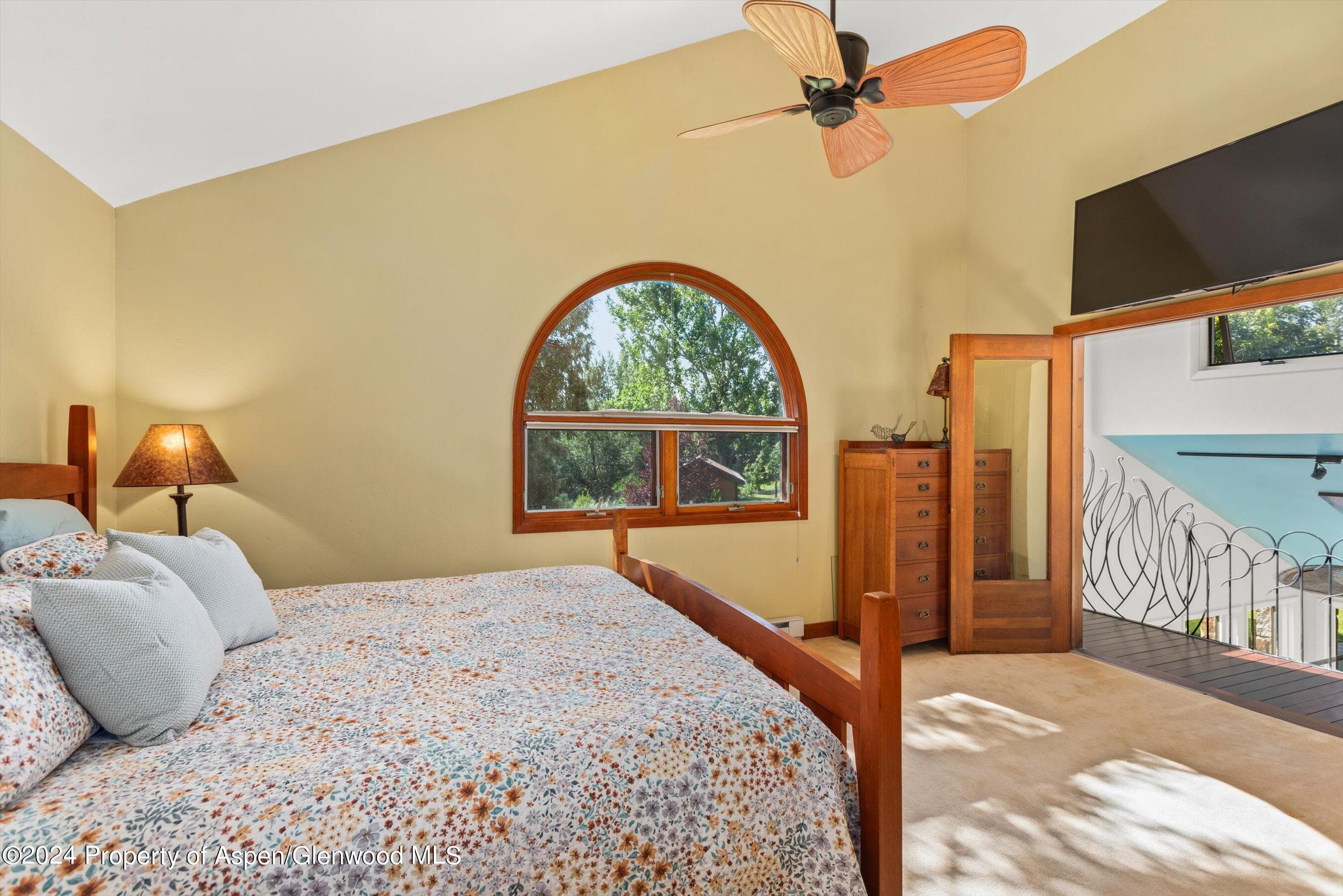 160 Pine Street, Carbondale, CO 81623 - Photo 26