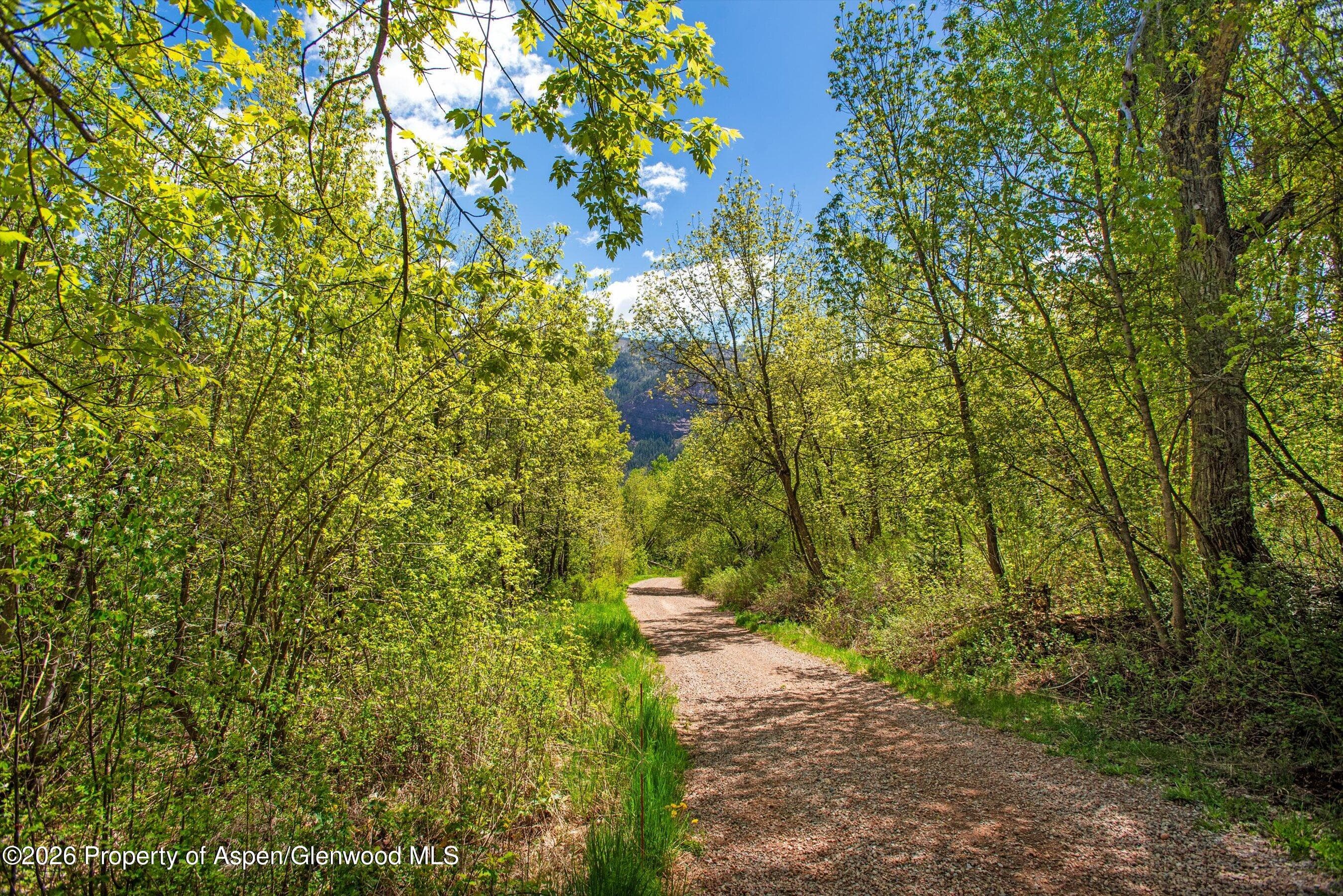 Tbd Coal Creek Road, Redstone, CO 81623 - Photo 5