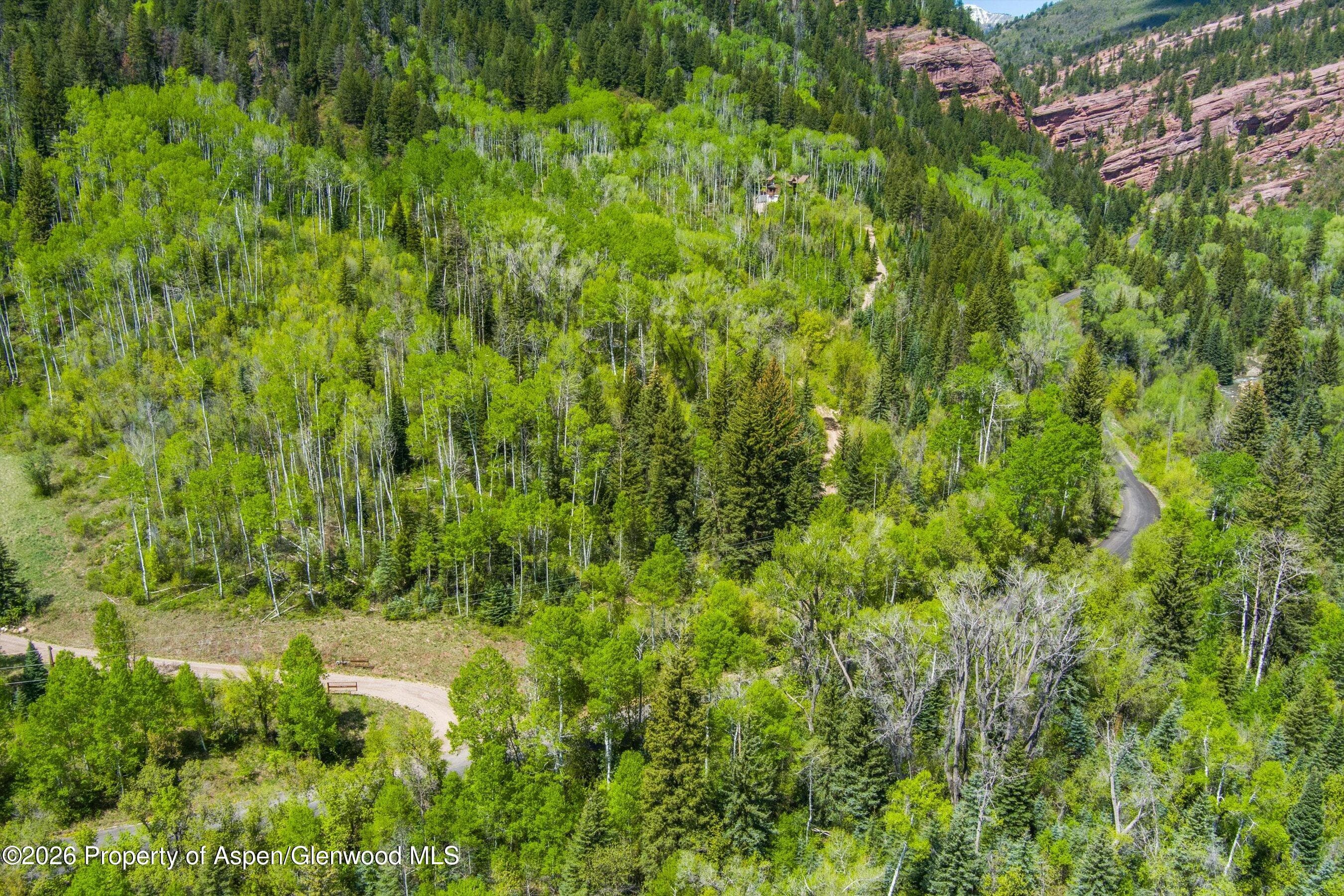 Tbd Coal Creek Road, Redstone, CO 81623 - Photo 7