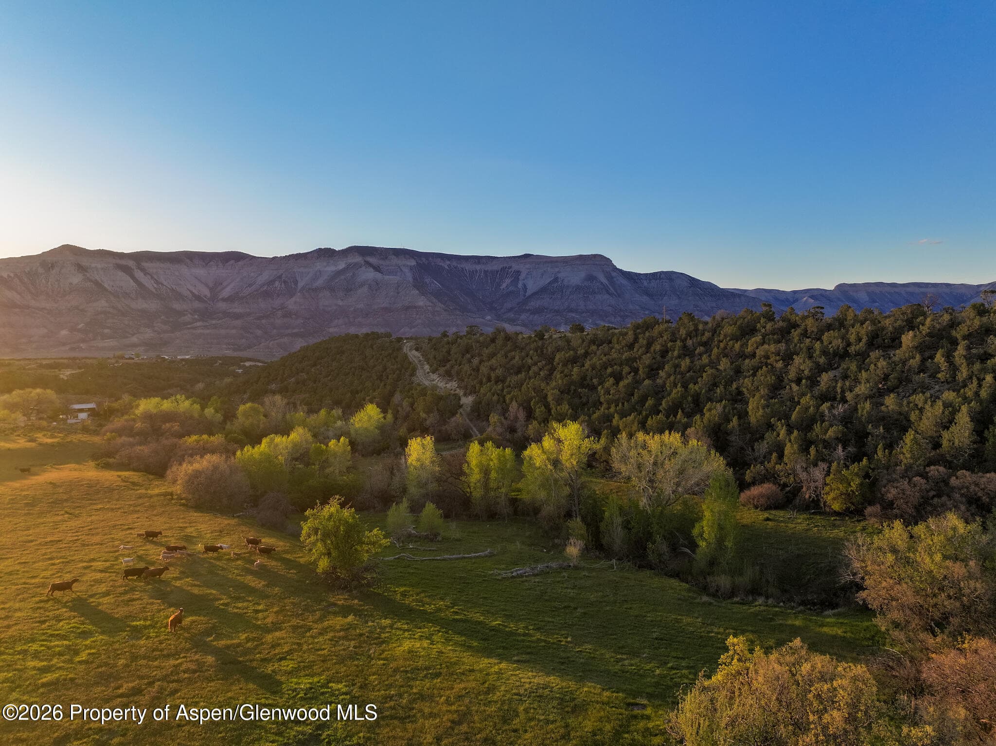 306 County Road, Parachute, CO 81635 - Photo 5