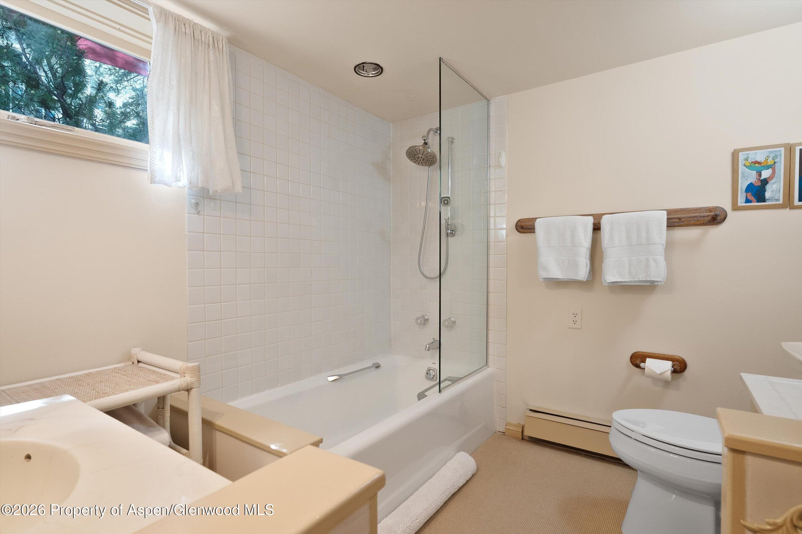 715 W Smuggler Street, Aspen, CO 81611 - Photo 32