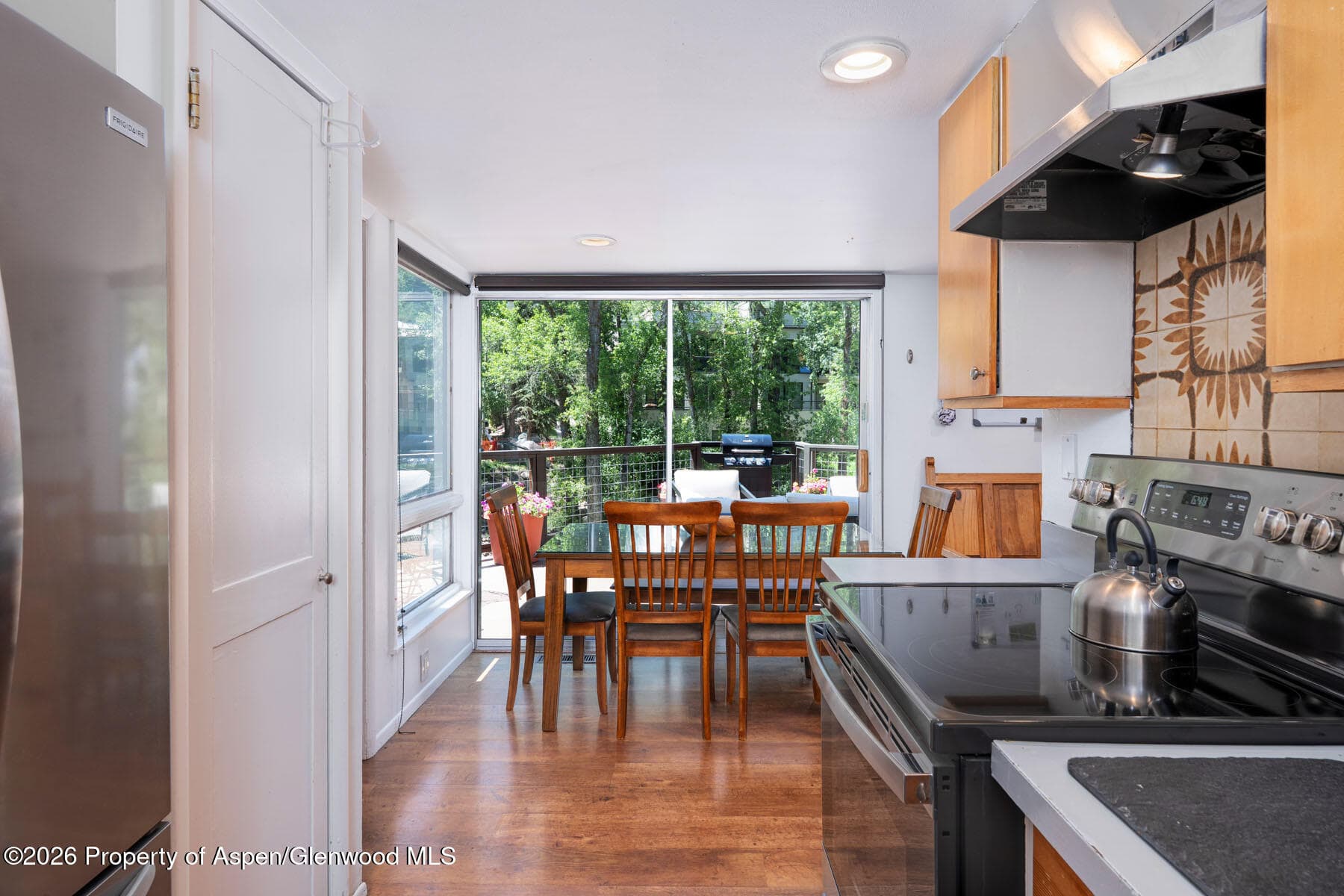 979 Queen Street, Aspen, CO 81611 - Photo 11
