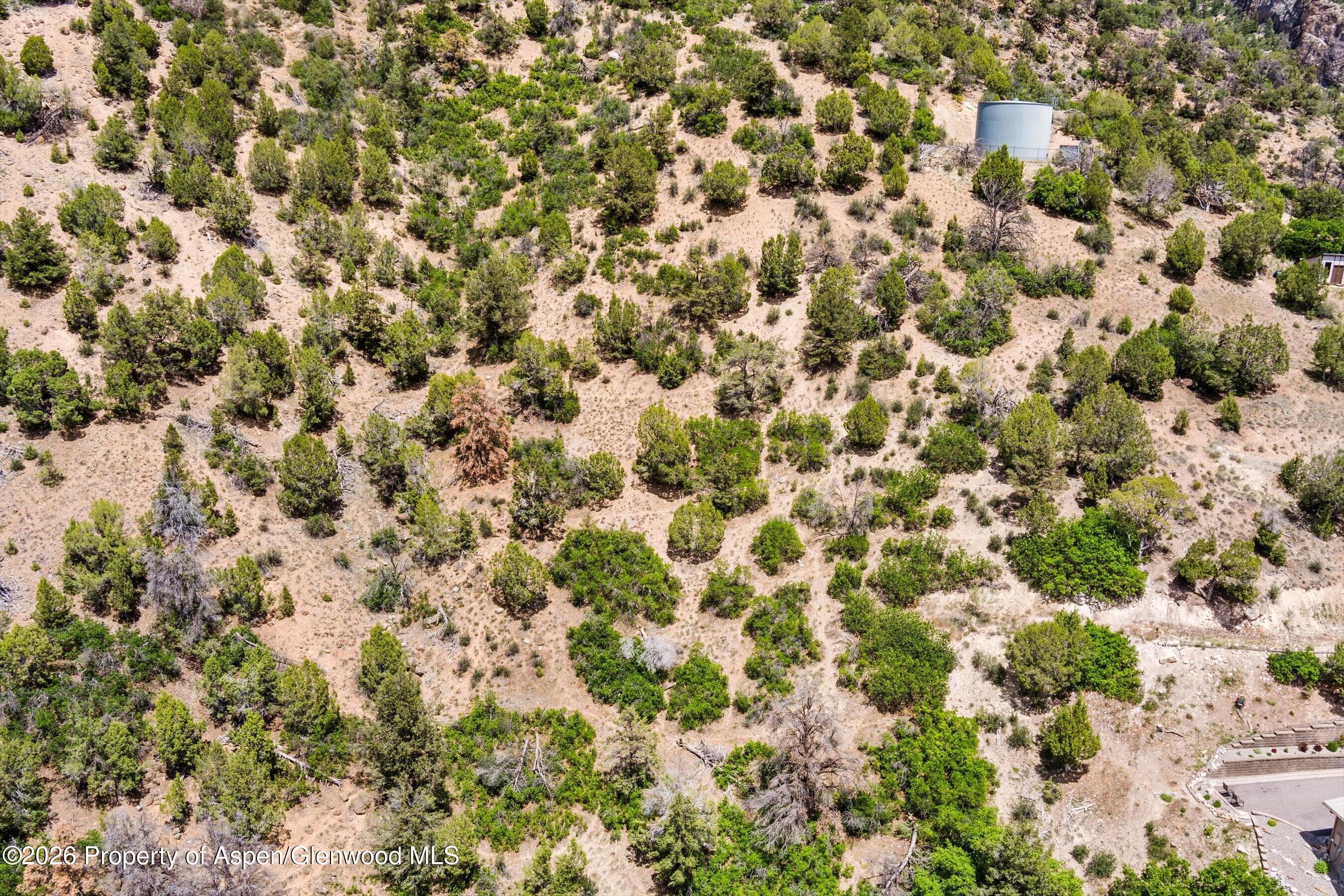 718 Silver Oak Drive, Glenwood Springs, CO 81601 - Photo 8
