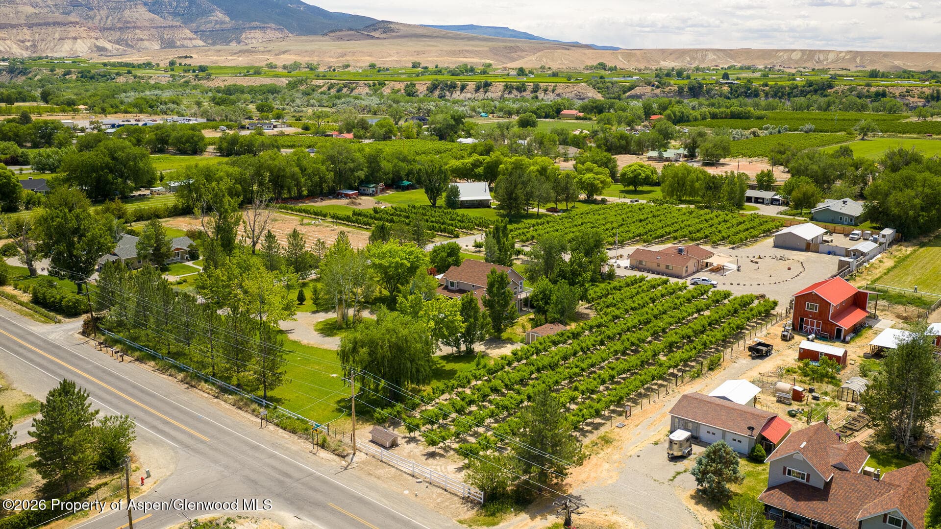 3609 G Road, Palisade, CO 81526 - Photo 46