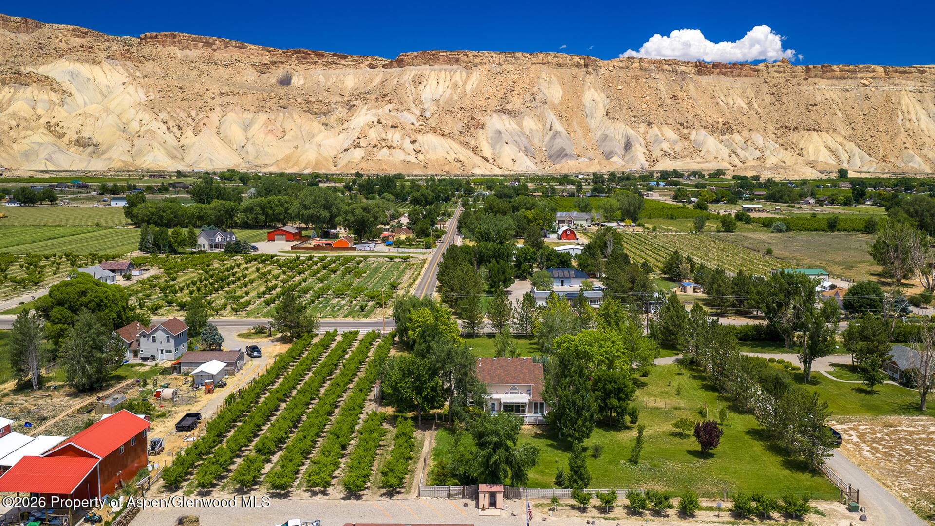 3609 G Road, Palisade, CO 81526 - Photo 50