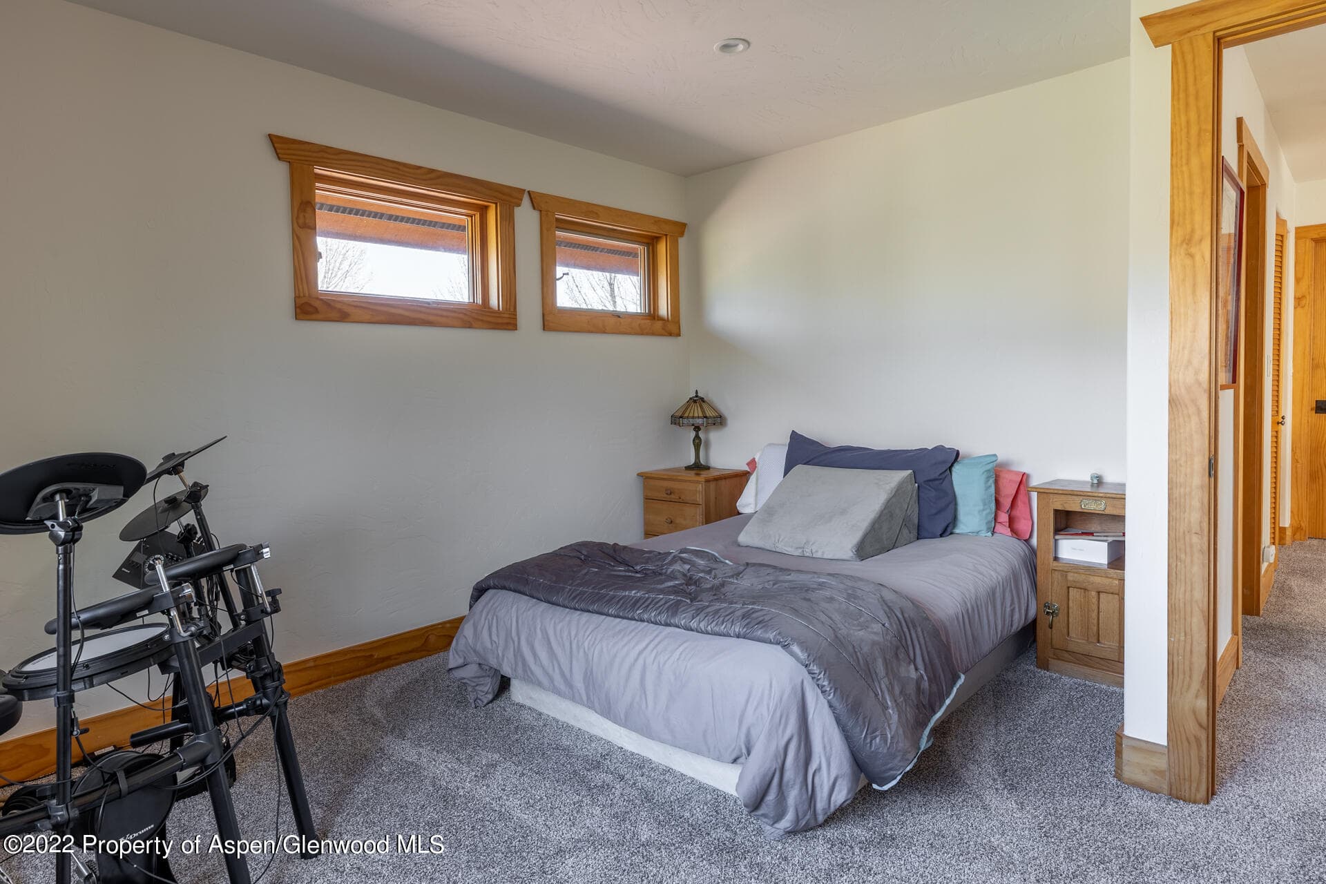 1103 Heritage Drive, Carbondale, CO 81623 - Photo 22