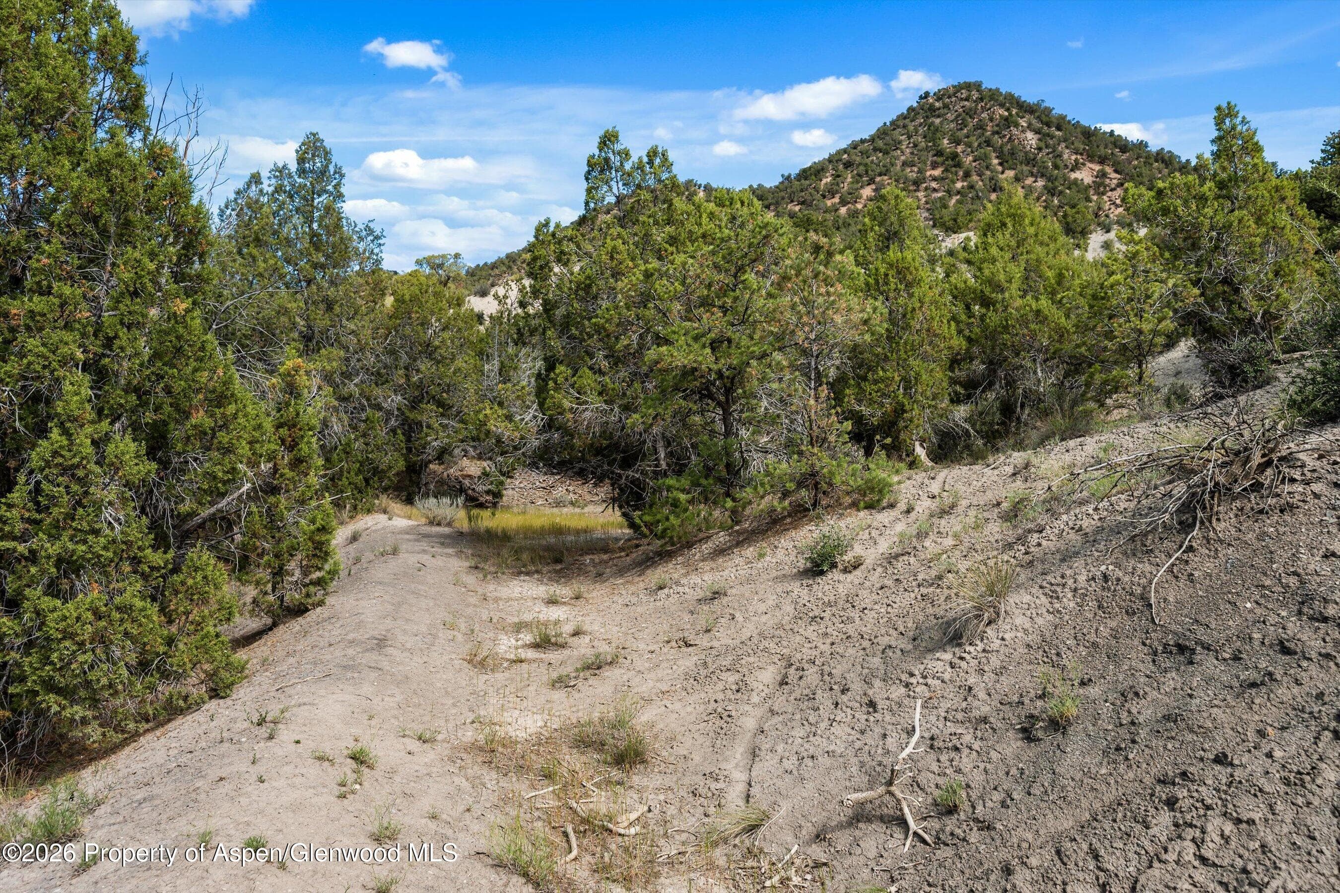 464 Silverhorn Drive, New Castle, CO 81647 - Photo 40