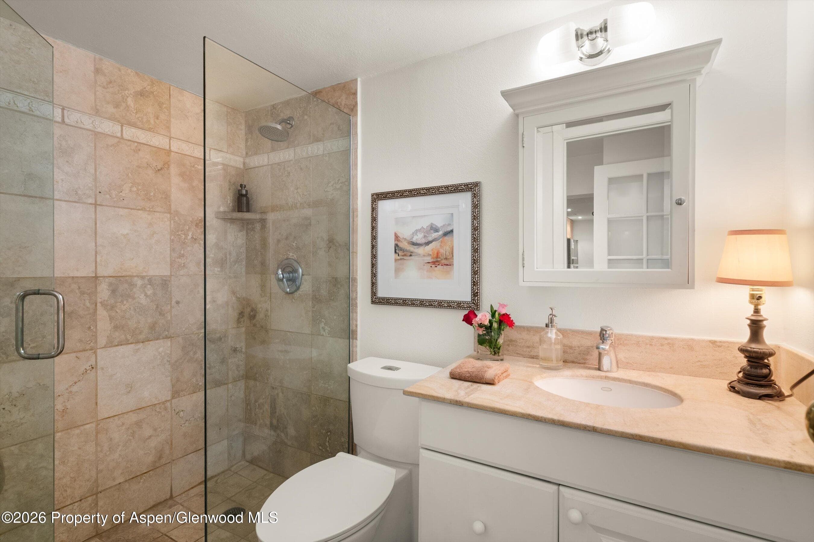 412 Vine Street, Aspen, CO 81611 - Photo 19