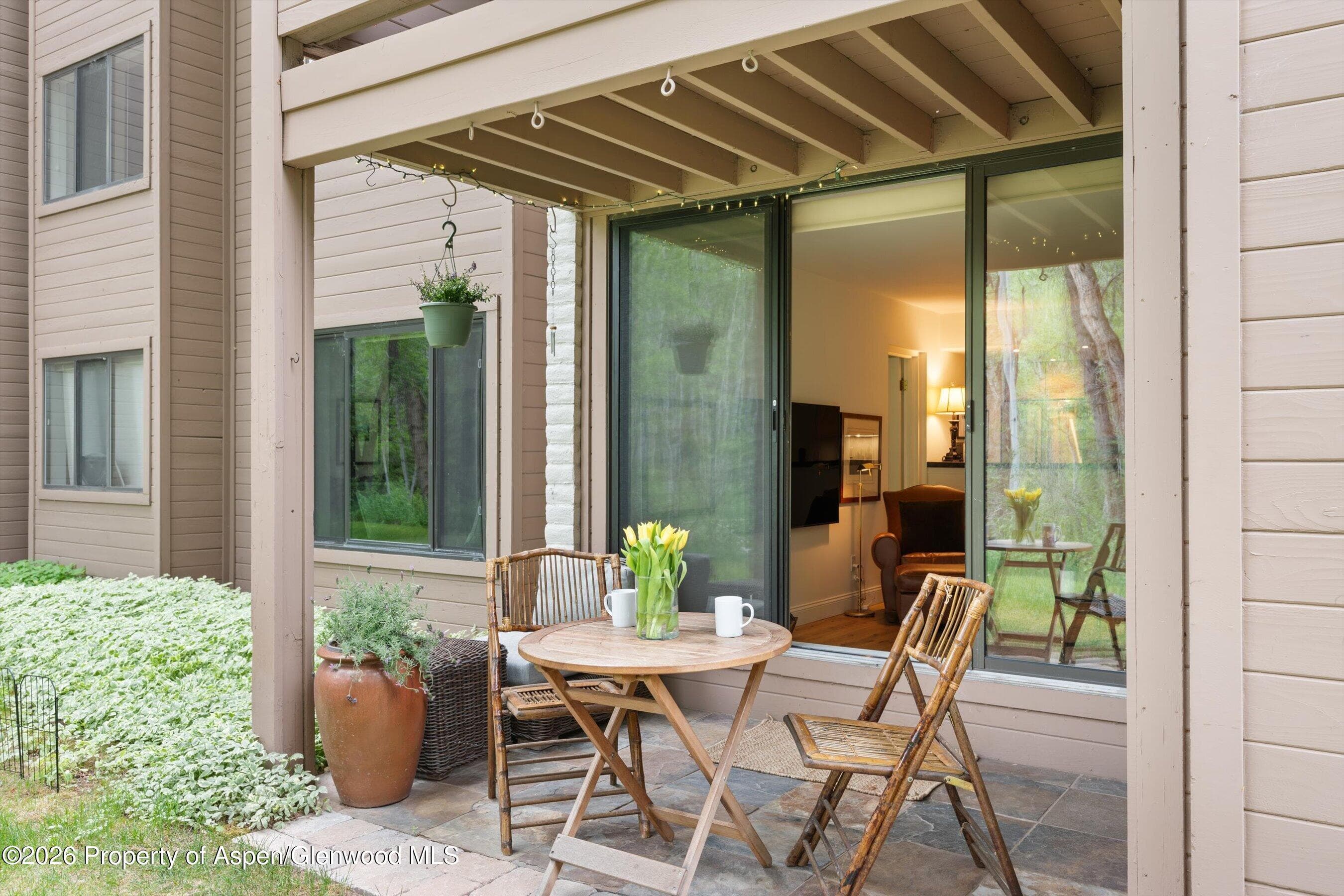 412 Vine Street, Aspen, CO 81611 - Photo 21